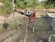 A garden setting featuring a series of pipes and valves connected to a water system. The setup includes various colored handles and a red cylindrical object likely functioning as a filter. Potted plants are scattered around the ground, some with leafy branches. The background is filled with lush green trees and a wooden bench, all under a clear sky.