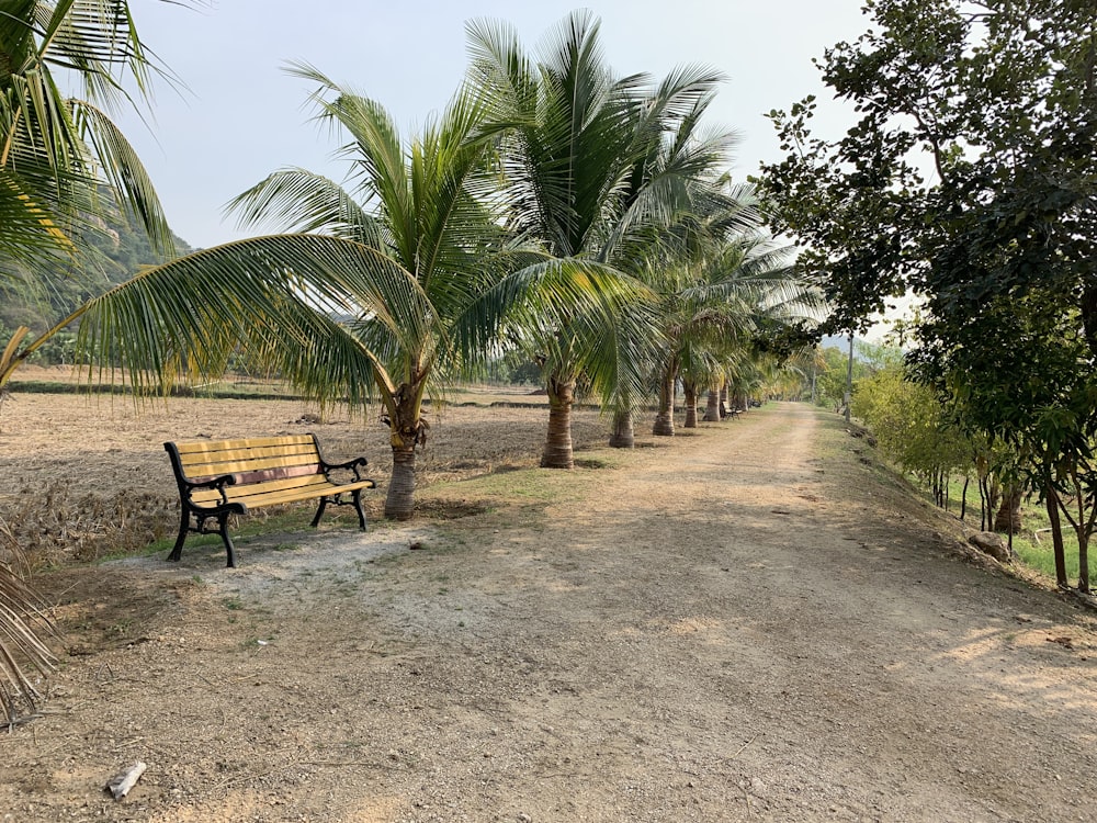 a wooden bench sitting in the middle of a dirt road