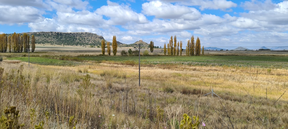 a field with a fence and trees in the background