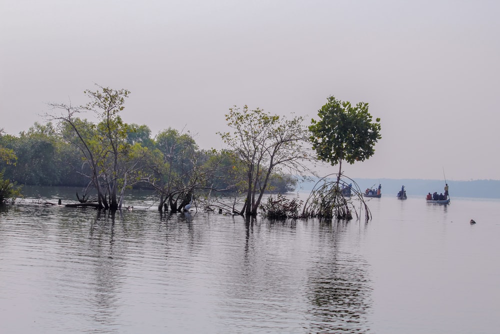 a group of people on small boats in a body of water