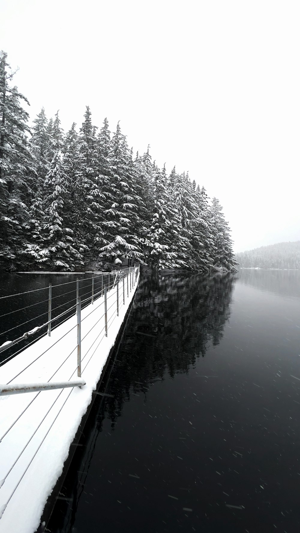 a snow covered forest next to a body of water