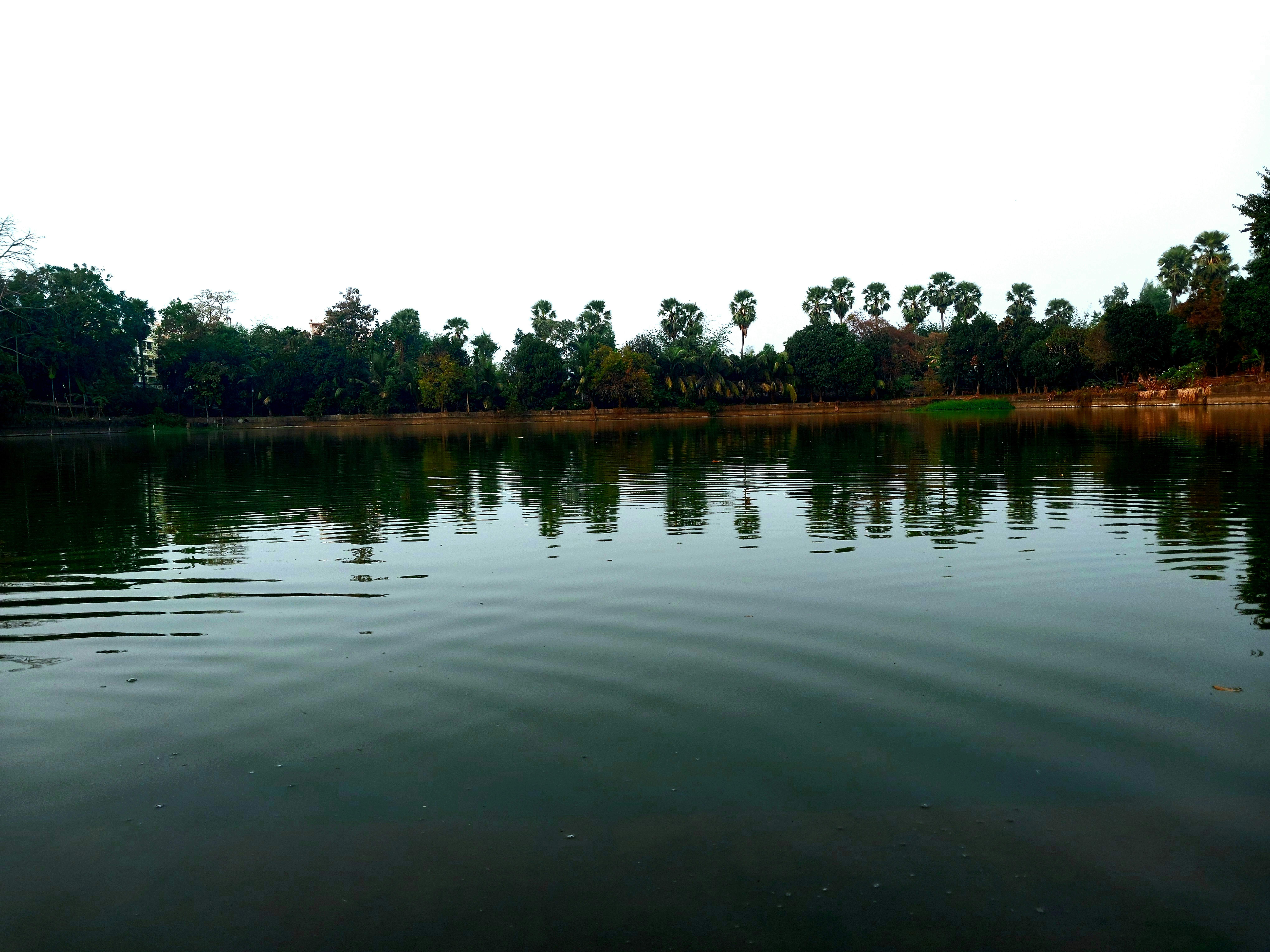 Photo by therainbowman