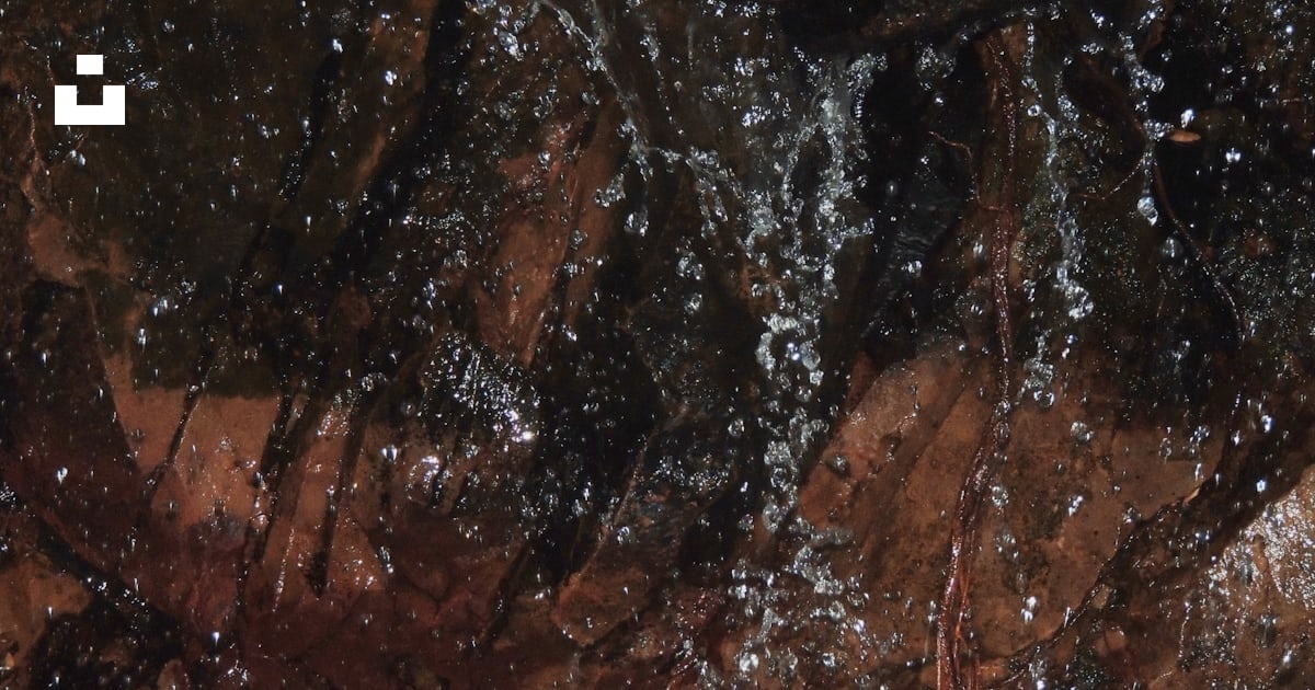 A close up of water running over rocks photo – Free Tada waterfalls ...