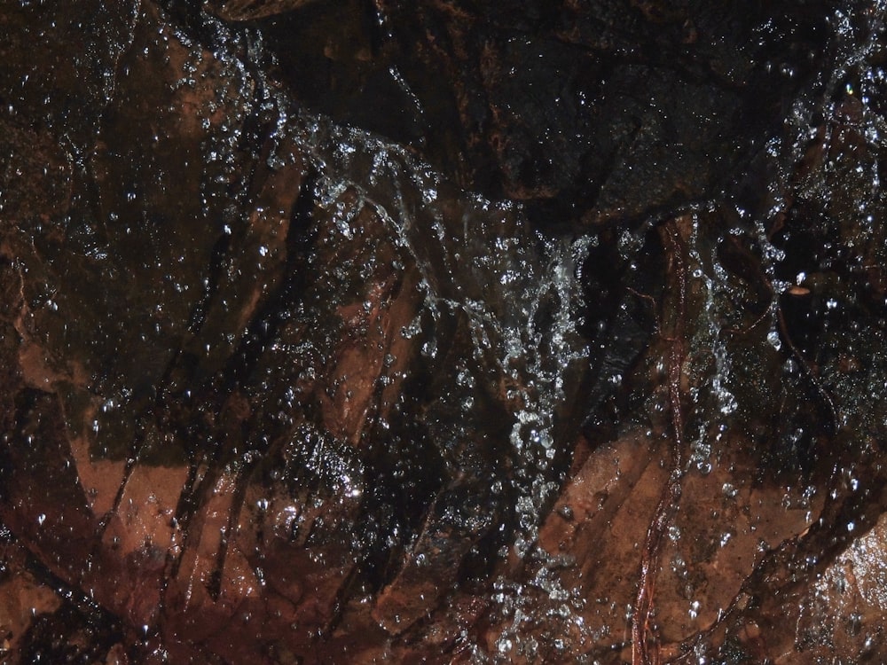 a close up of water running over rocks