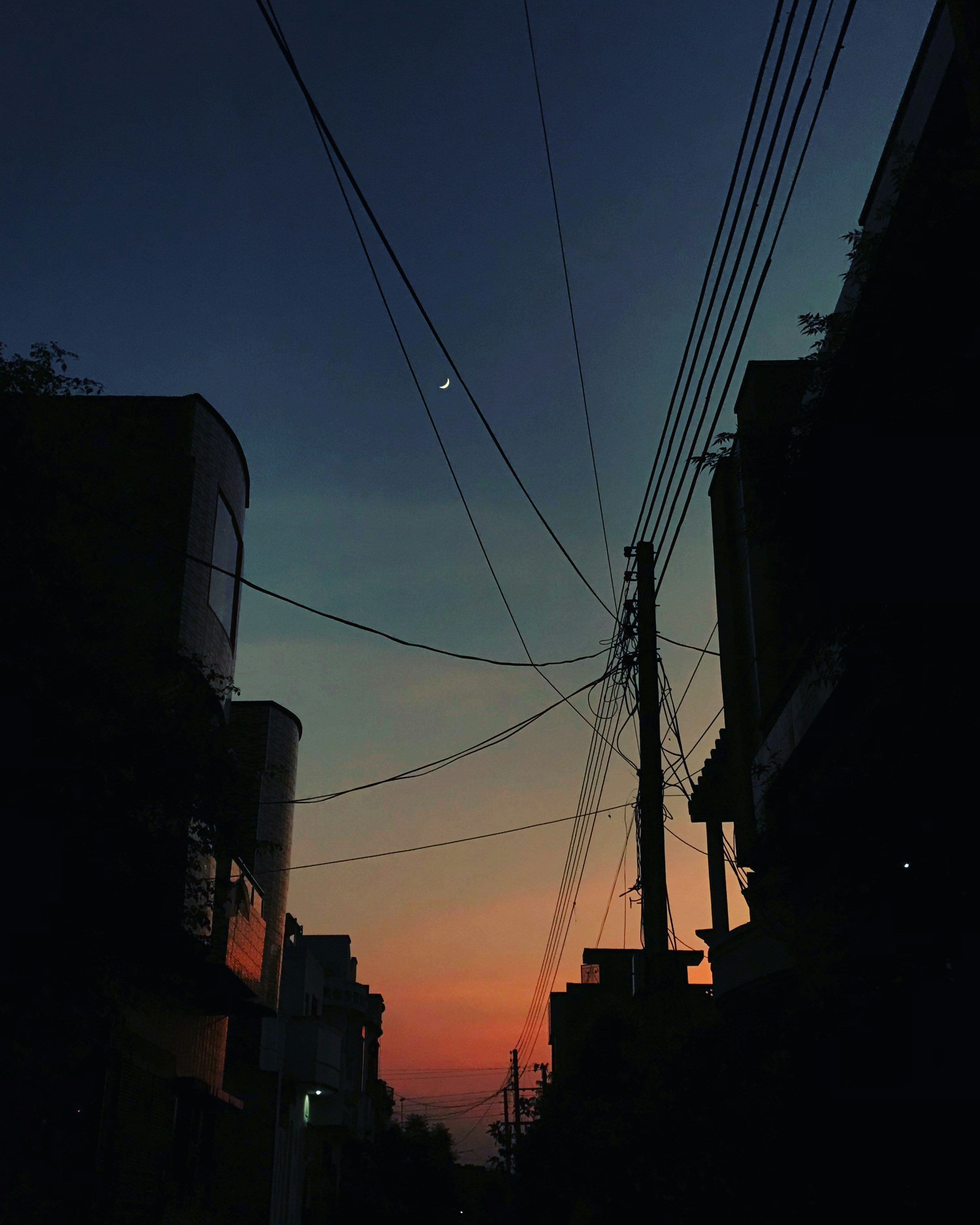 Photo by alpha1994