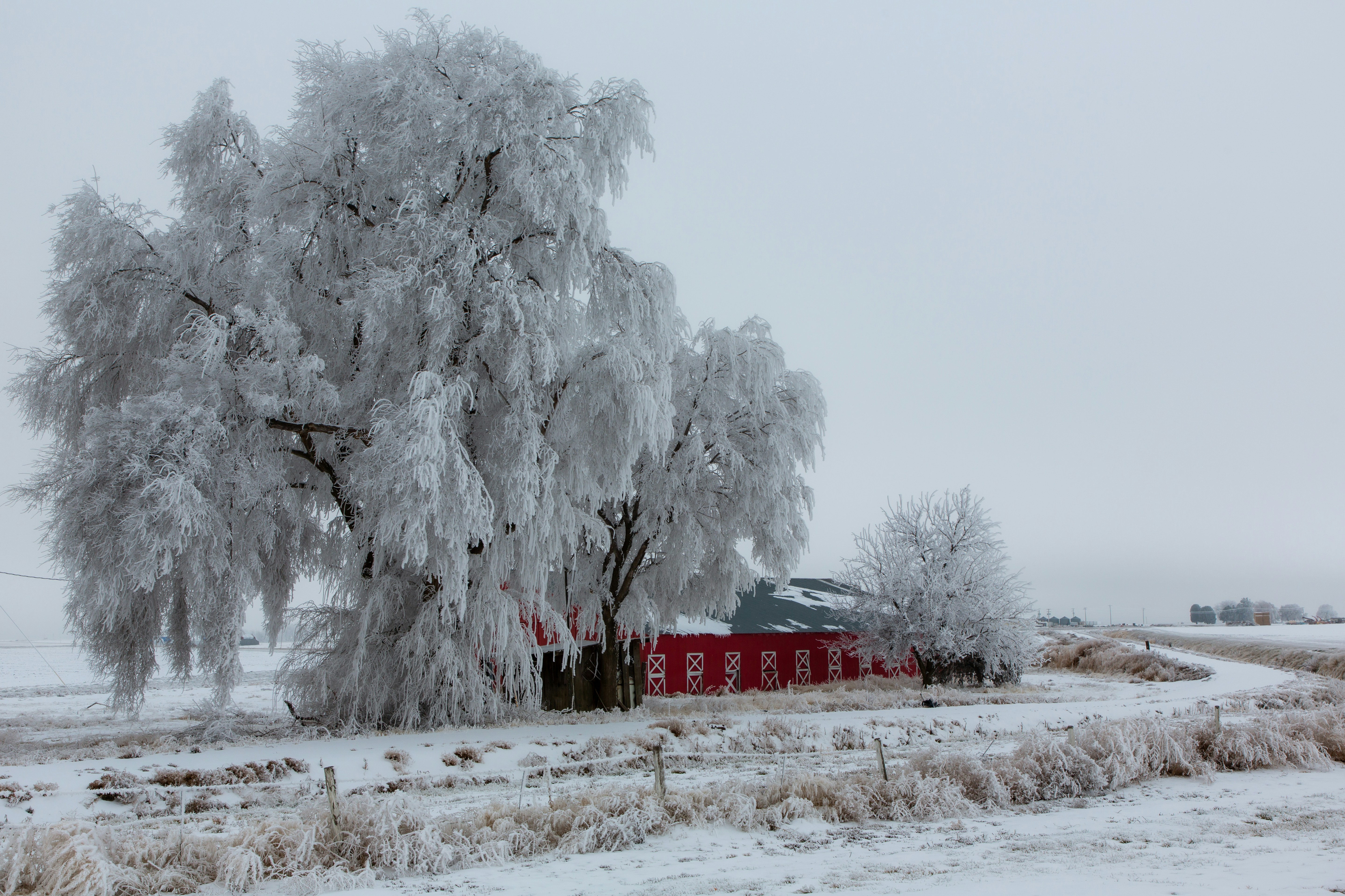 a snowy landscape with a red barn and trees