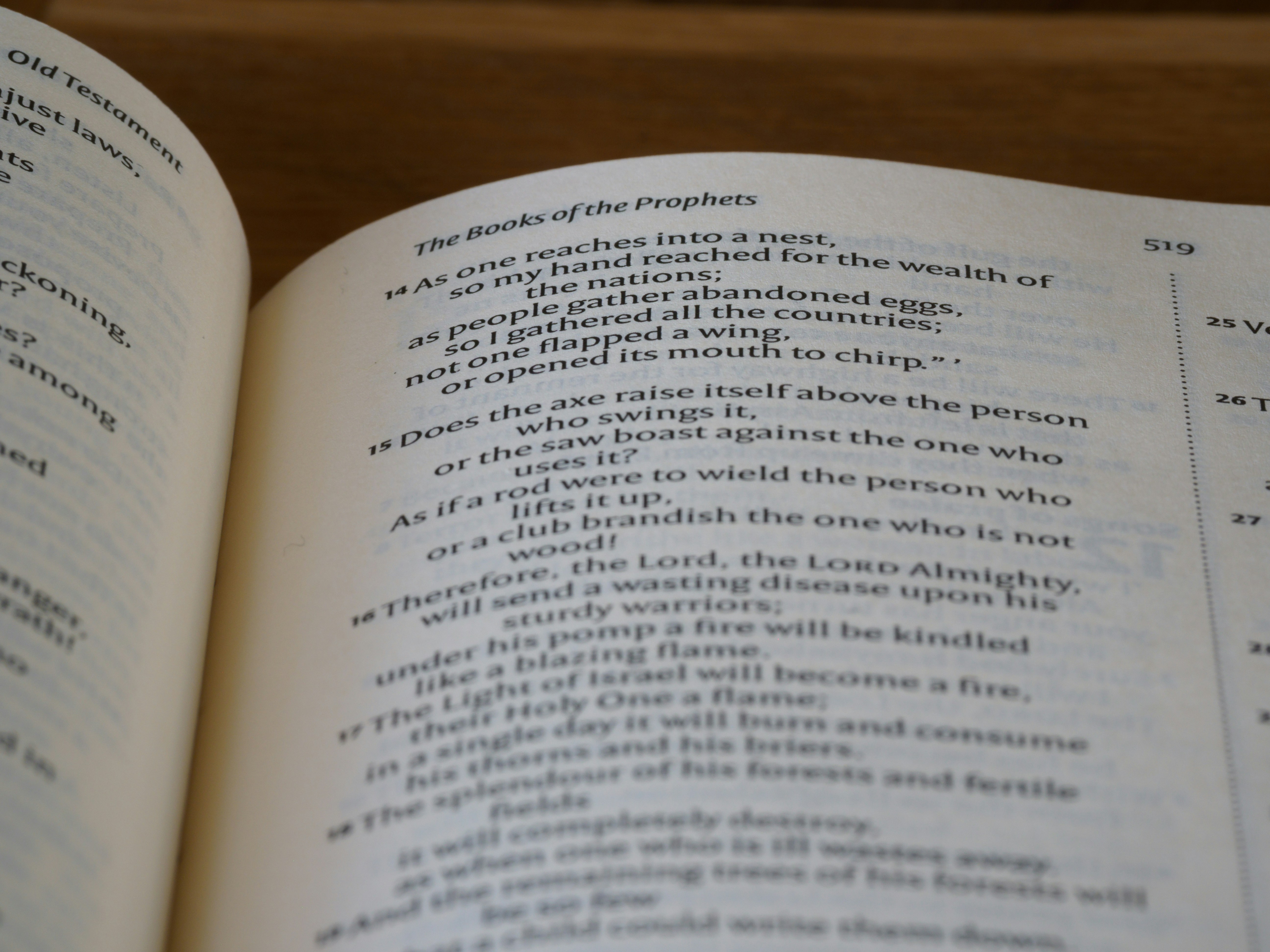 Photo by brett_jordan