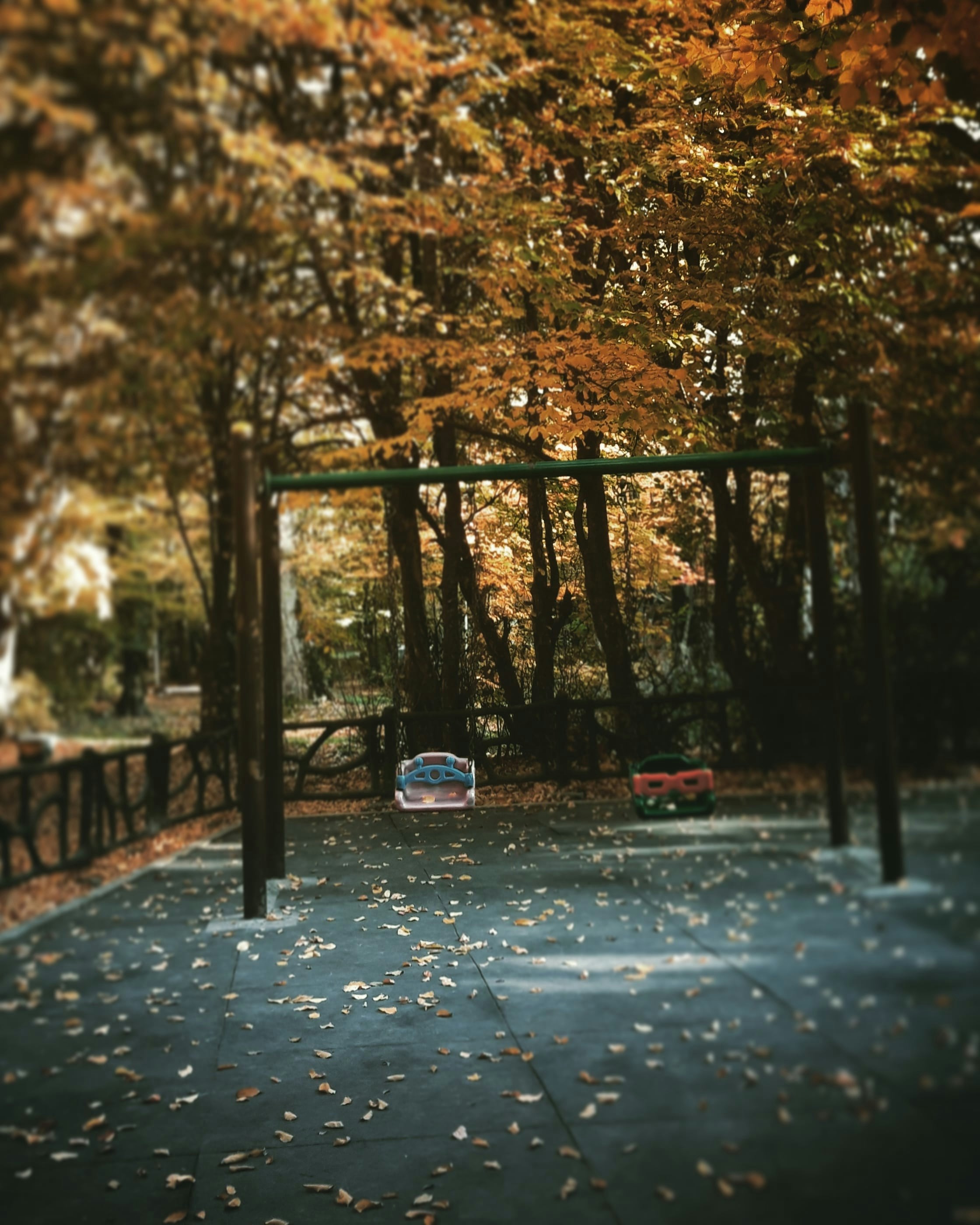 Photo by arman96