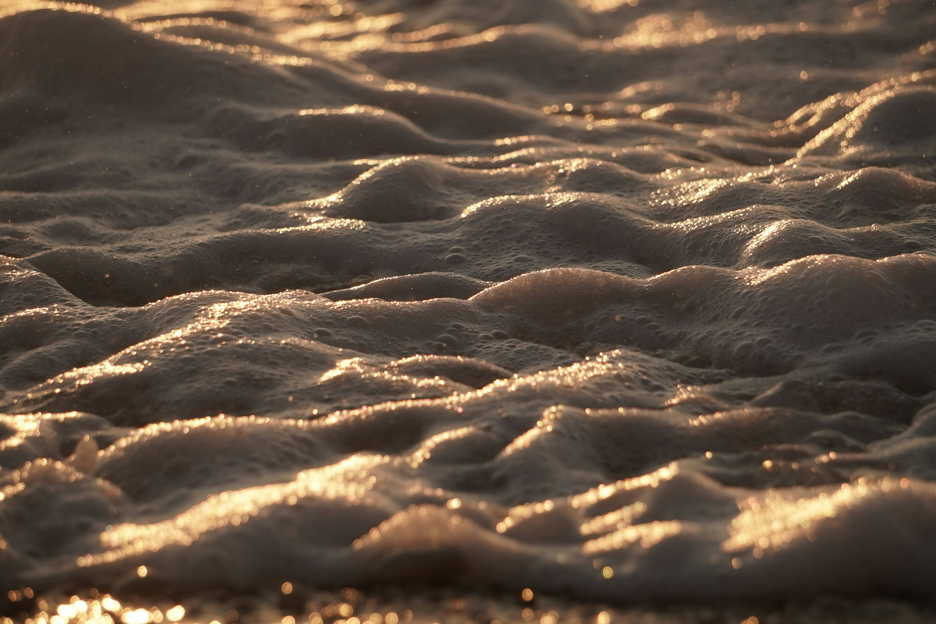 Photo by vencislavsh