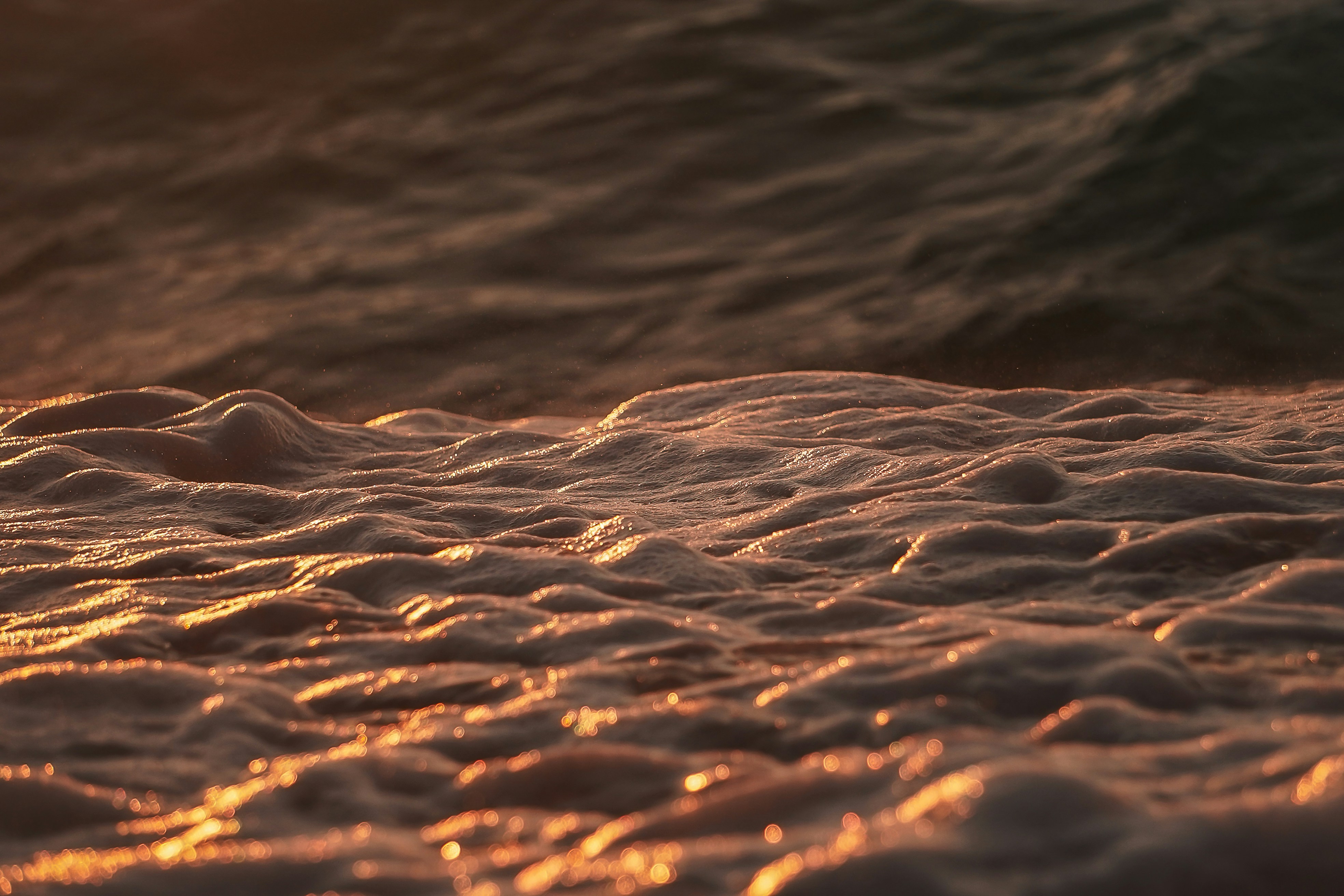 Photo by vencislavsh