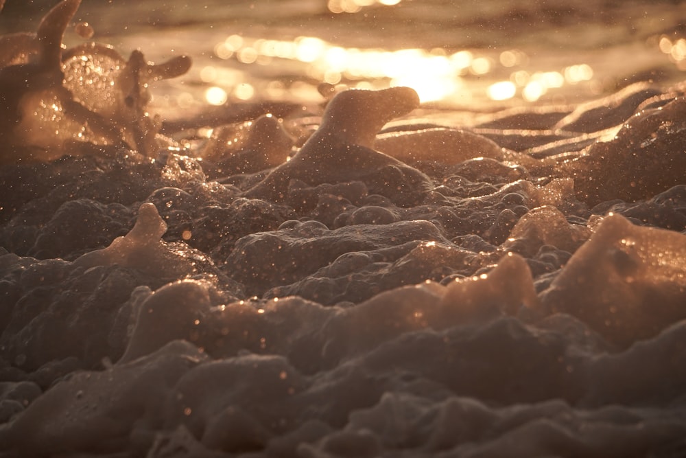 a close up of water and sand at the beach