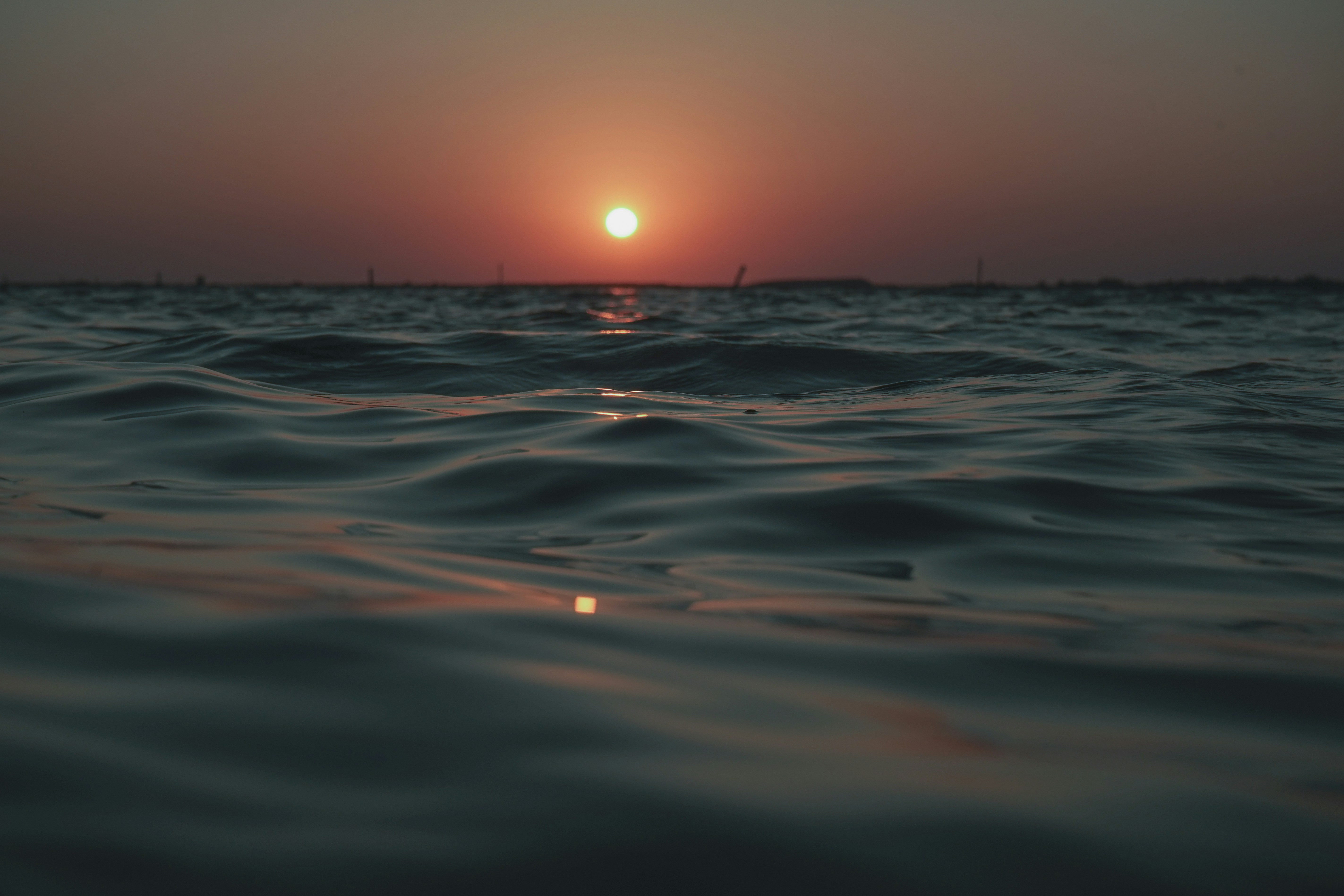 Photo by vencislavsh