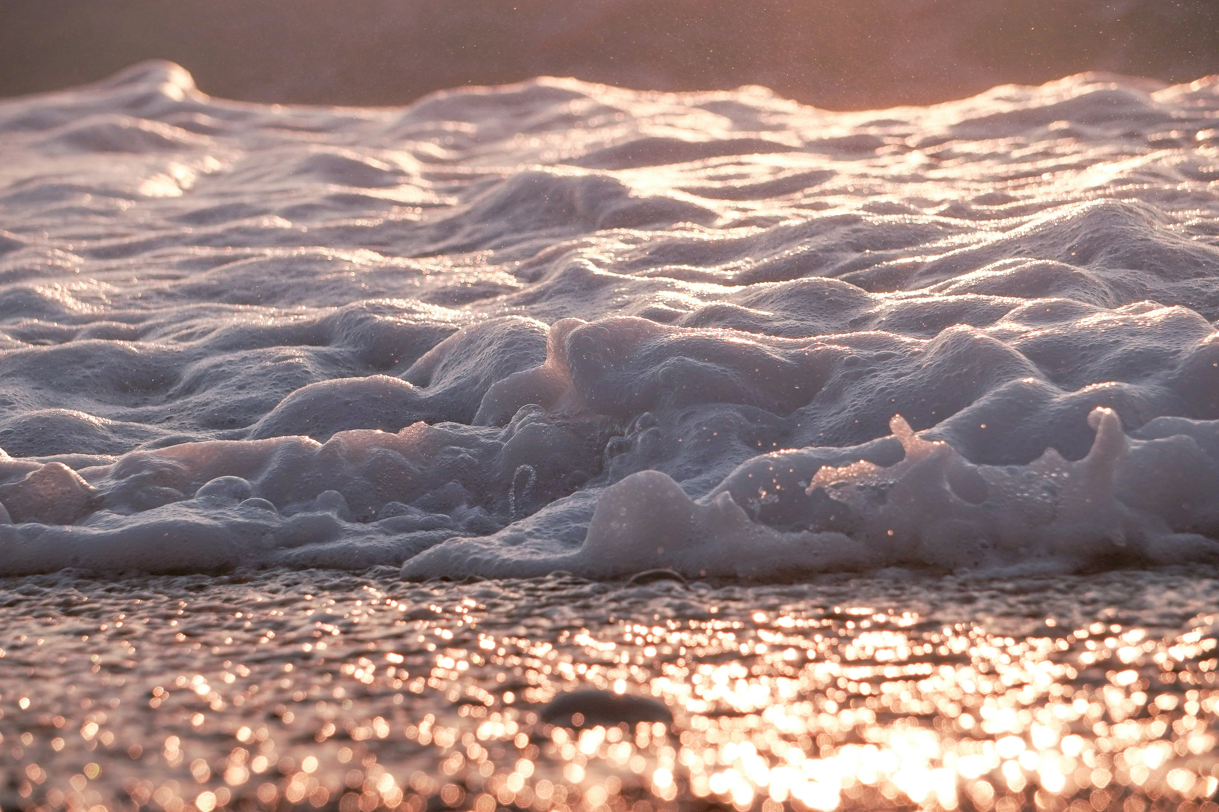 Photo by vencislavsh