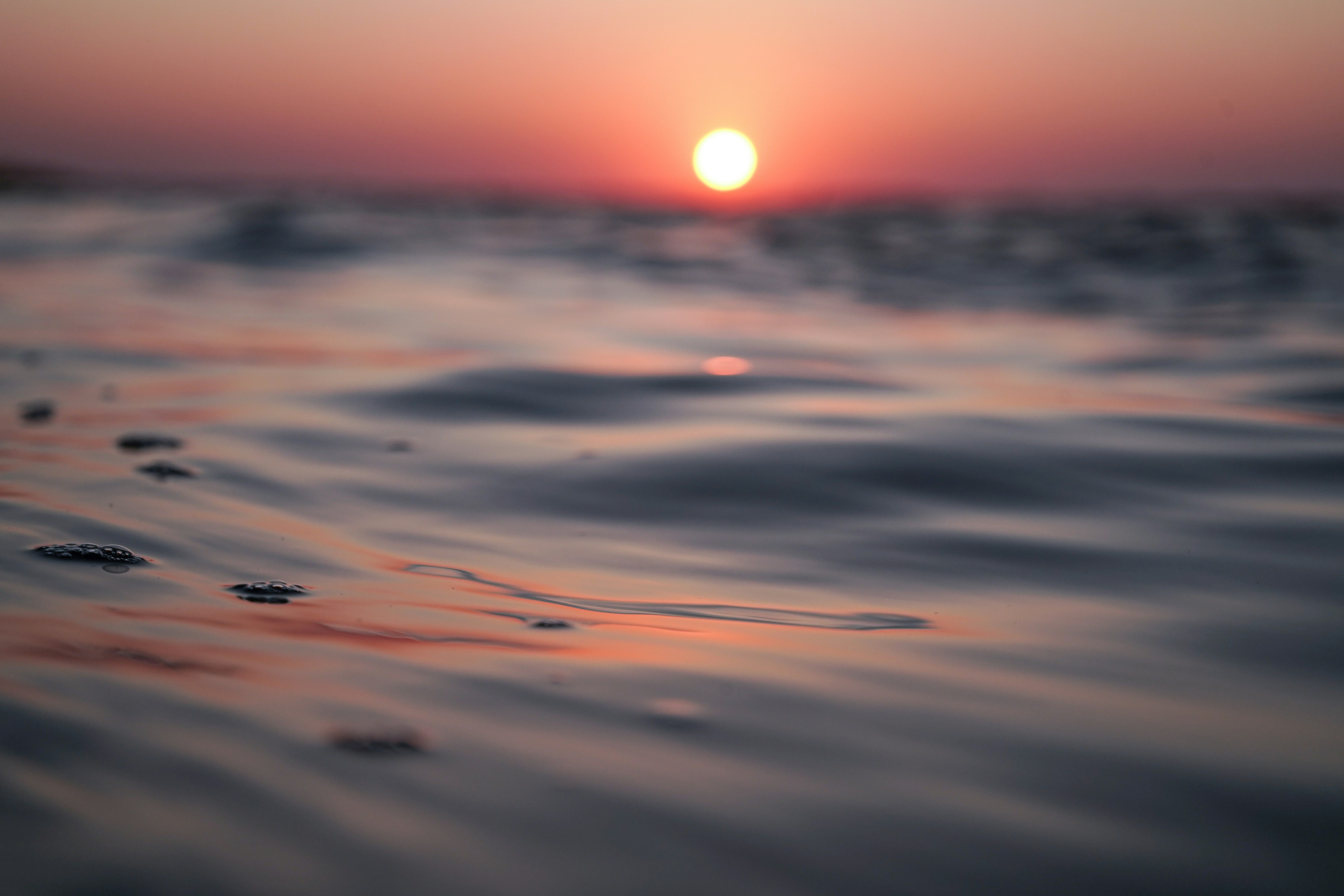 Photo by vencislavsh