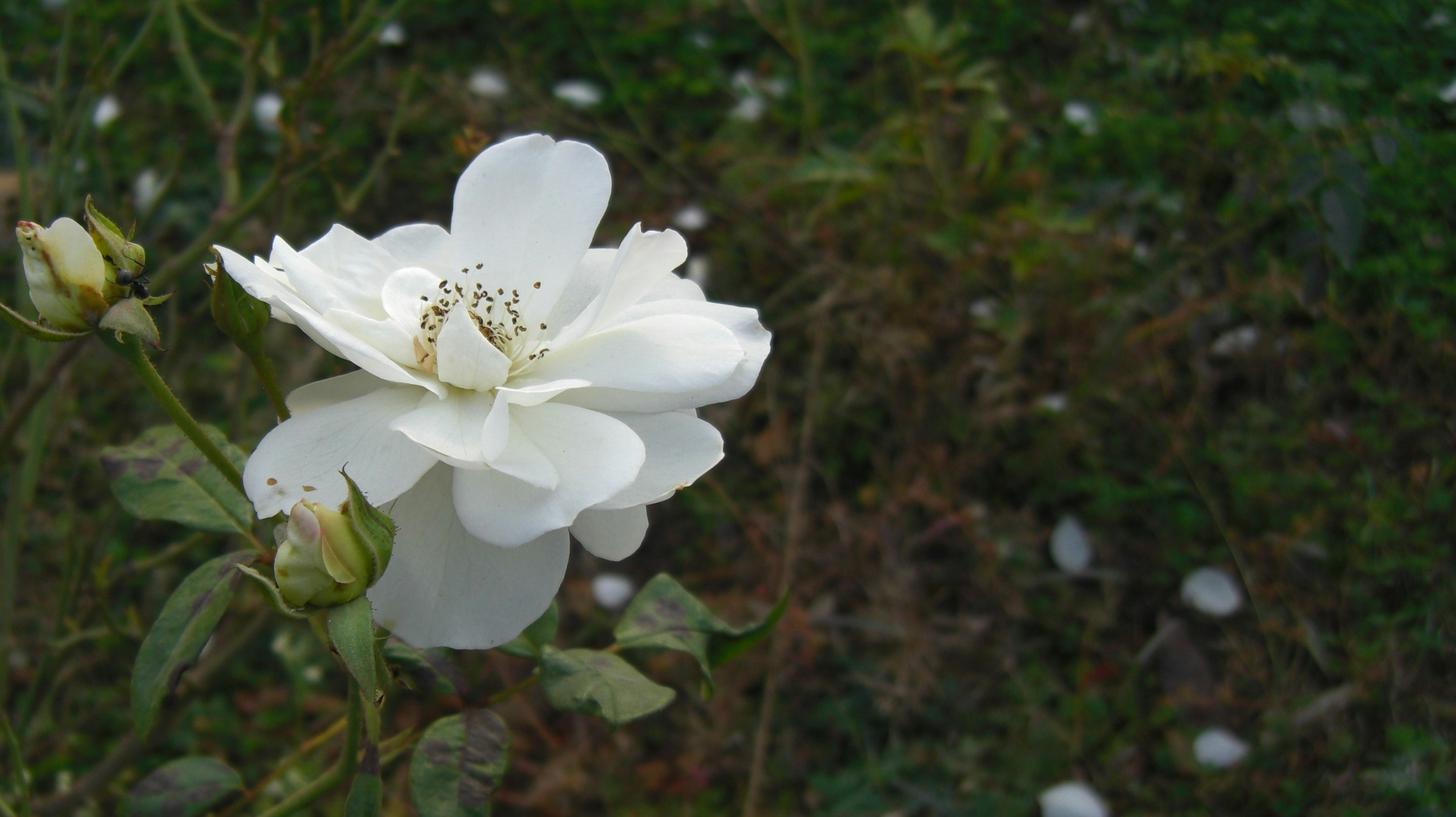 Photo by tiptop_pics