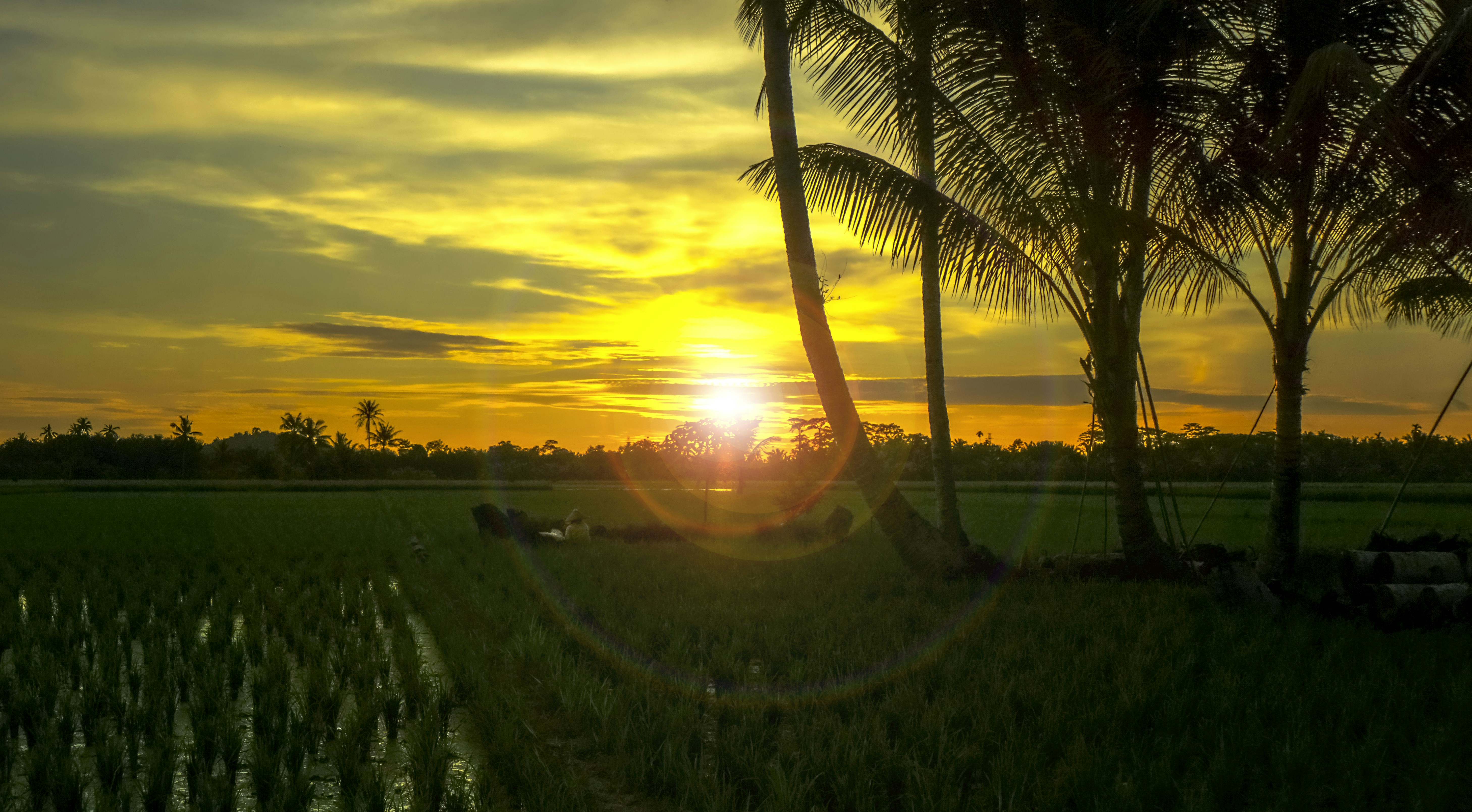 Photo by neil_ramadhan
