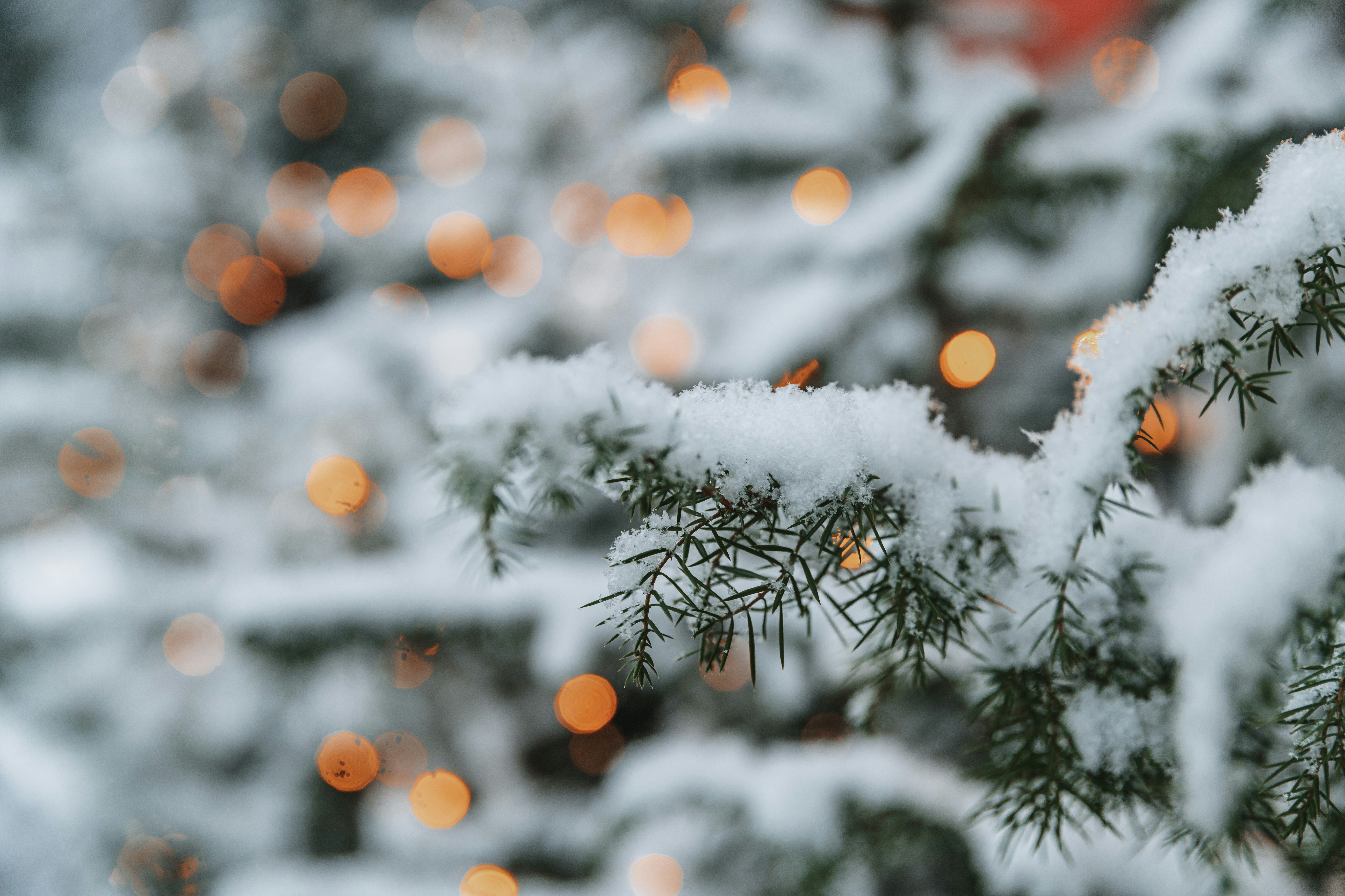 Photo by anitaaustvika