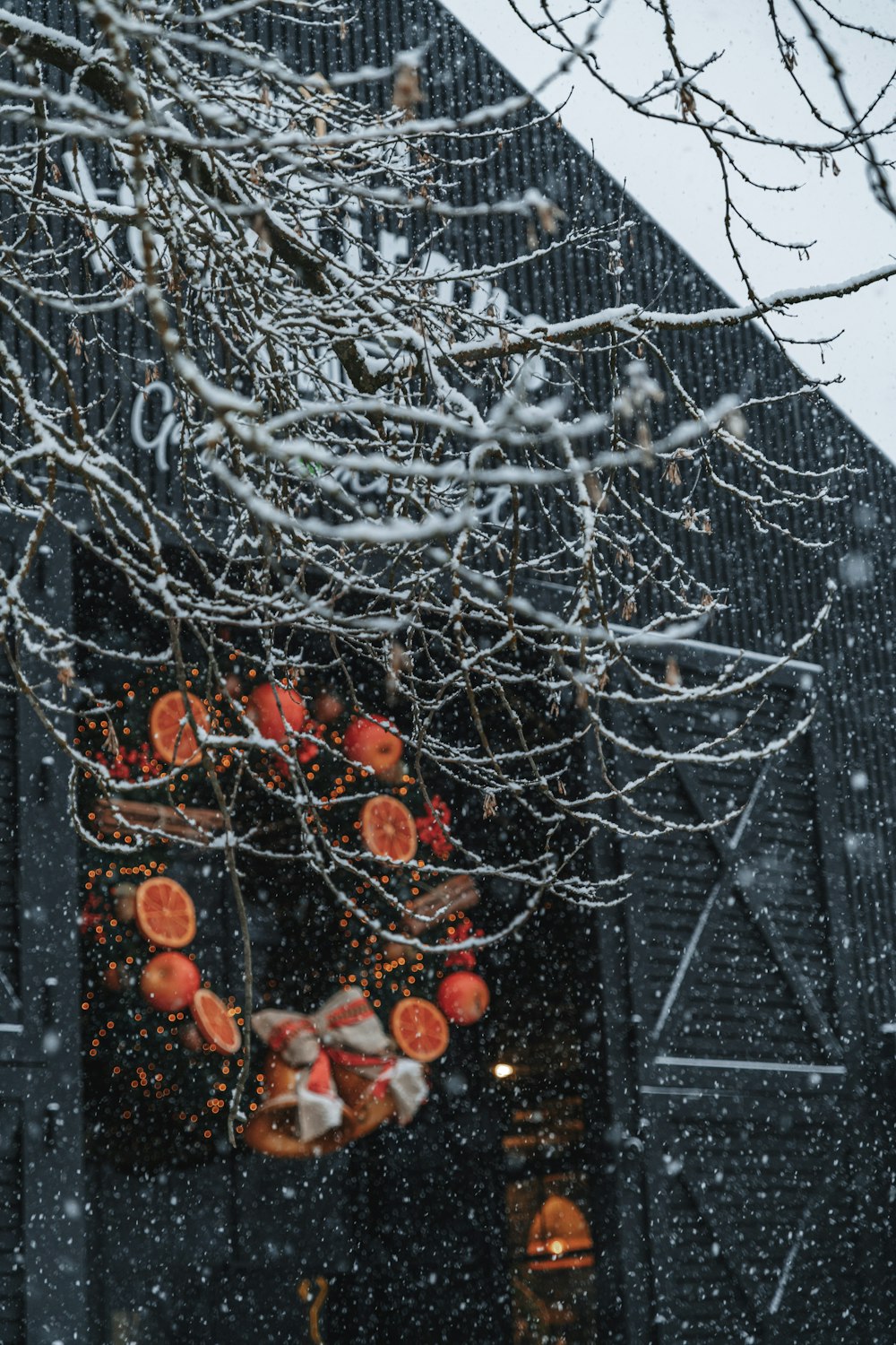 a tree with oranges hanging from it's branches in the snow