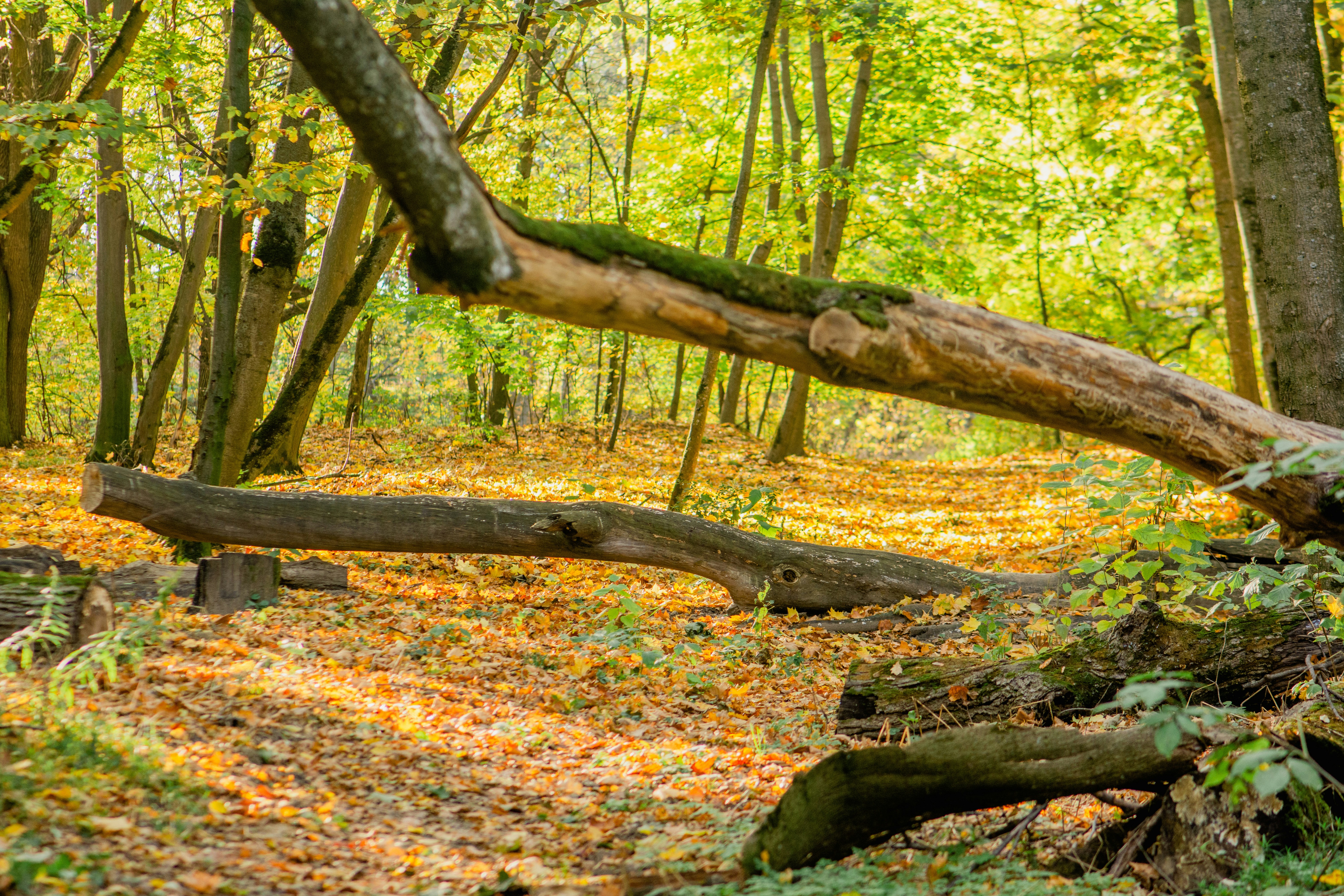 Photo by eugenivy_now