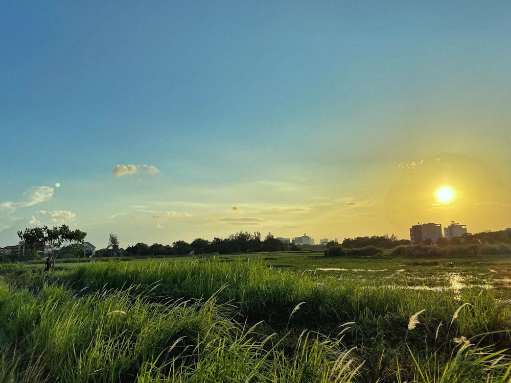 the sun is setting over a grassy field