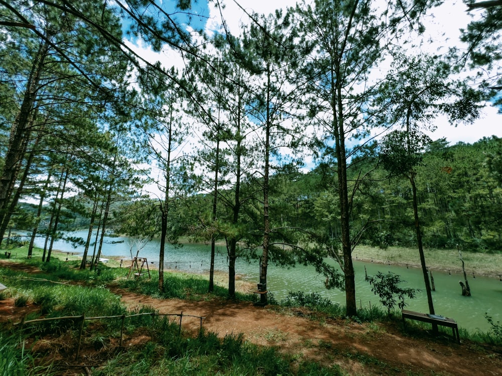 a view of a body of water through some trees