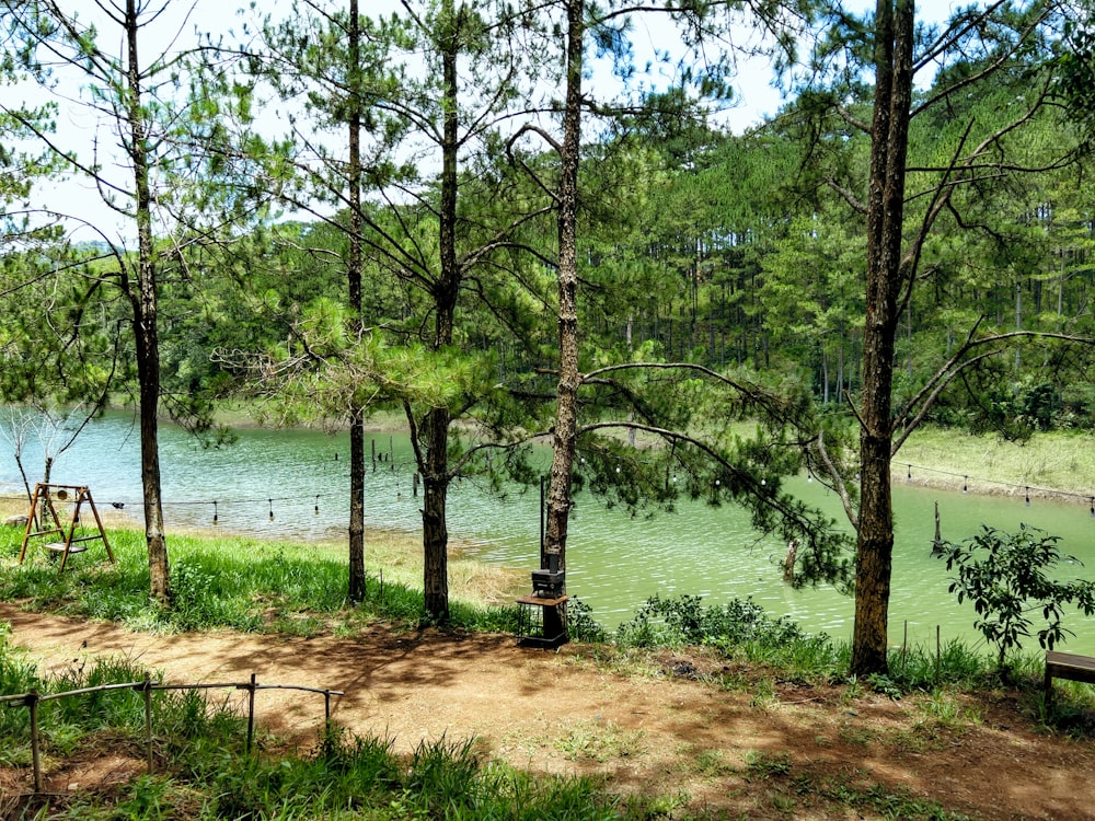 a park bench sitting next to a lake surrounded by trees