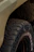 Close-up of rugged off-road tires covered in mud on a trail.
