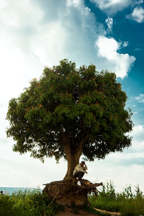 Ramulu Thudimilla sitting peacefully under a large tree, reflecting simplicity.