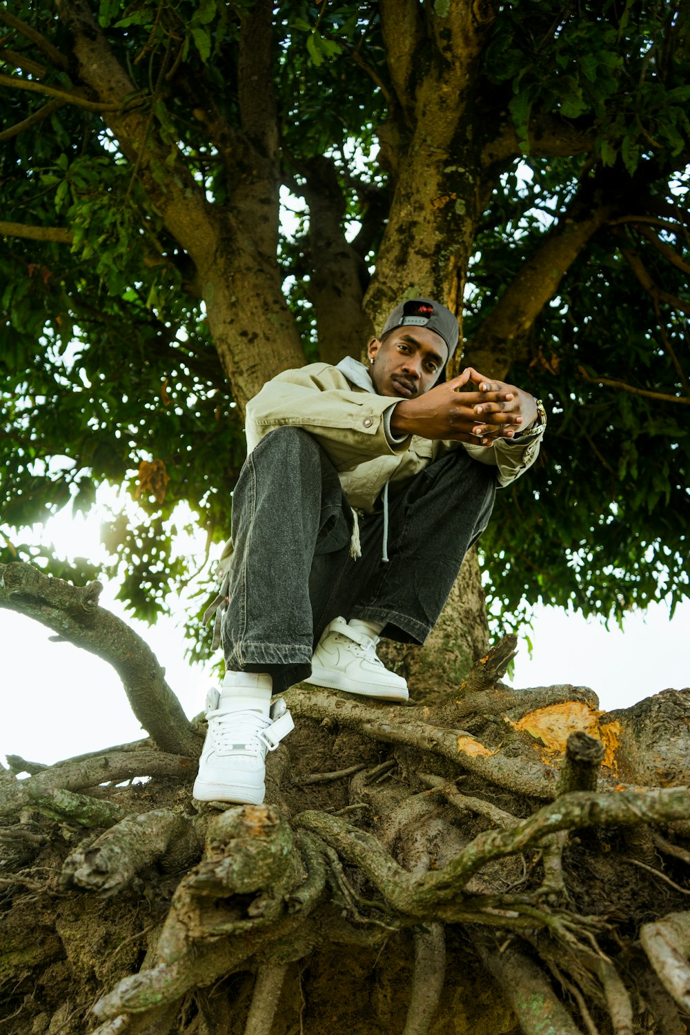 a man sitting on top of a tree branch