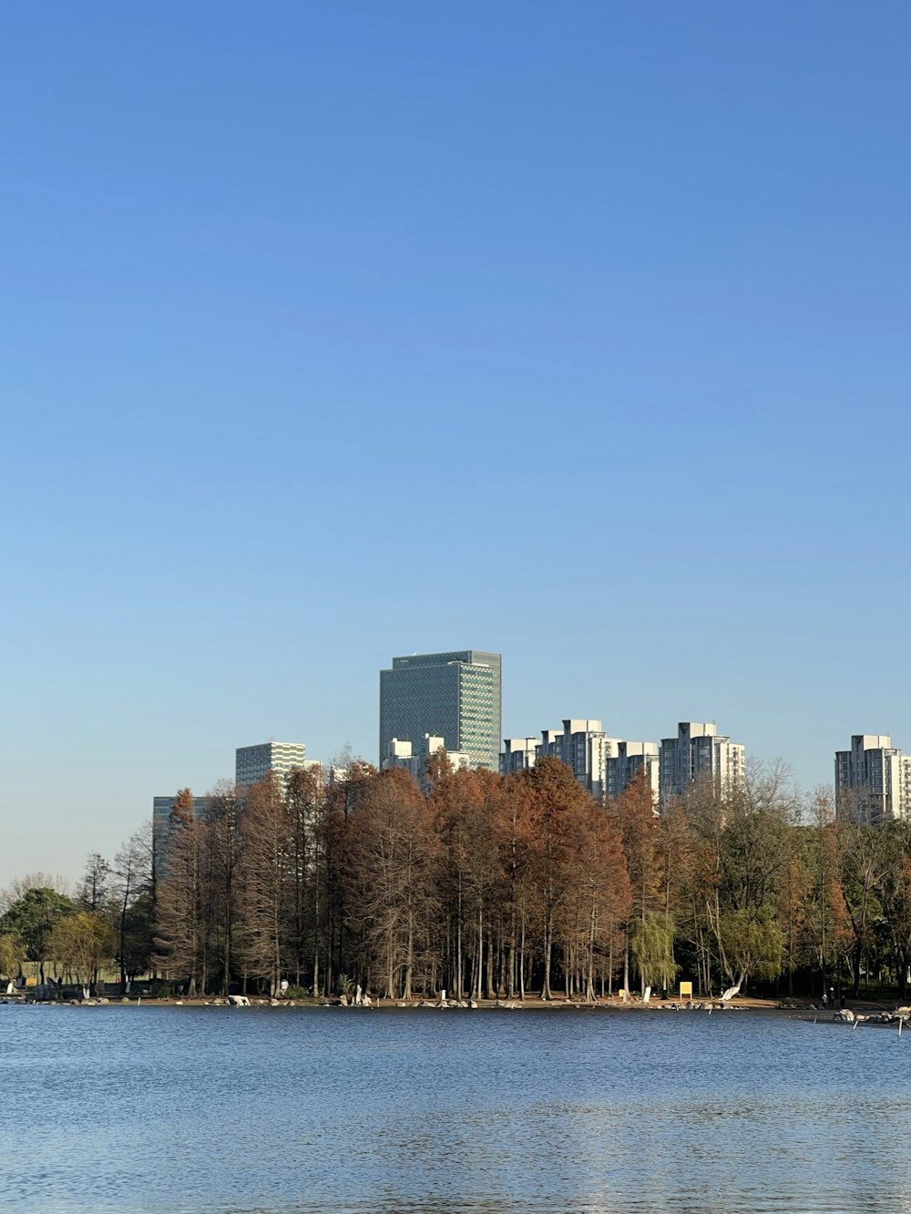 a body of water with a city in the background