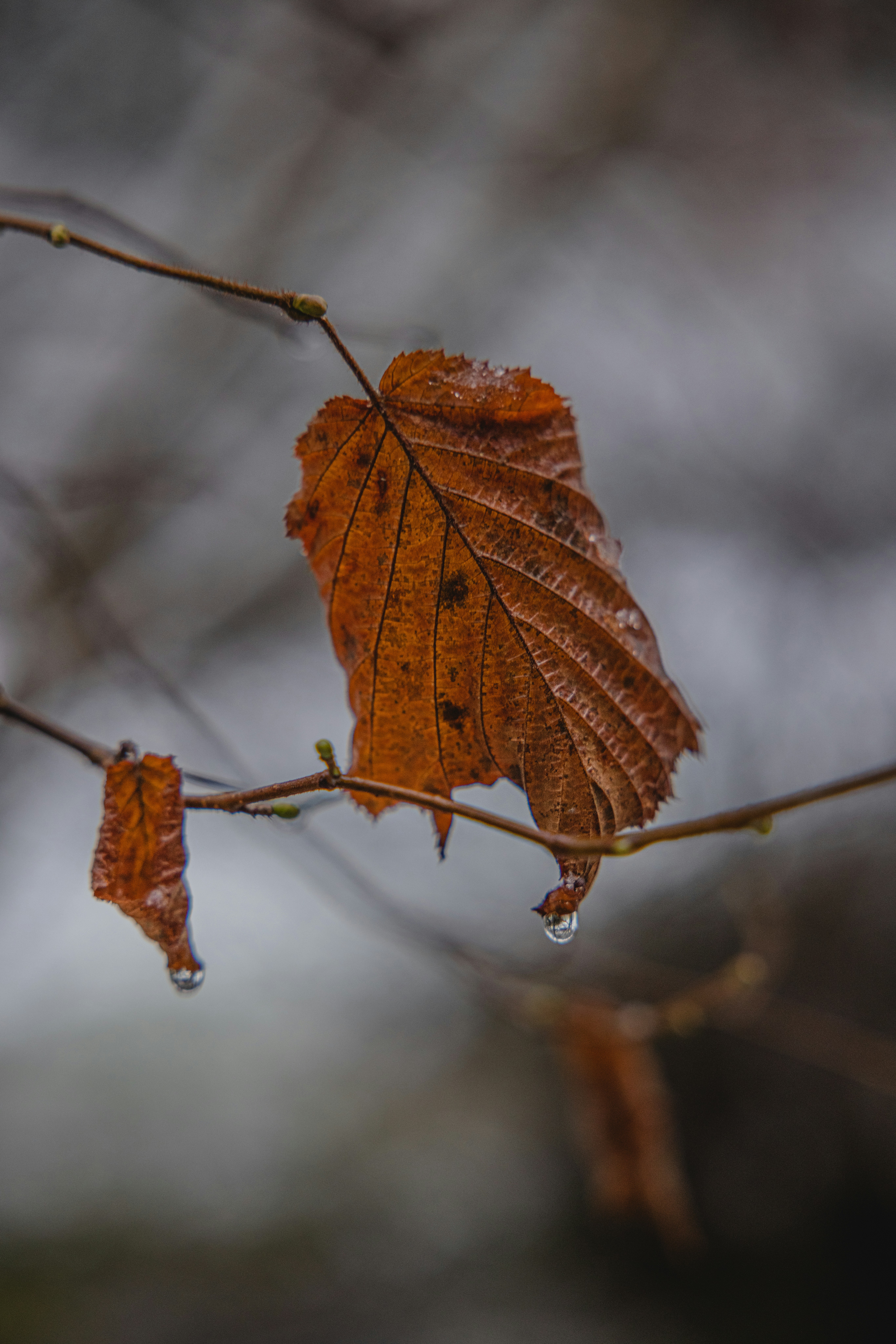 Photo by lukethorntonofficial