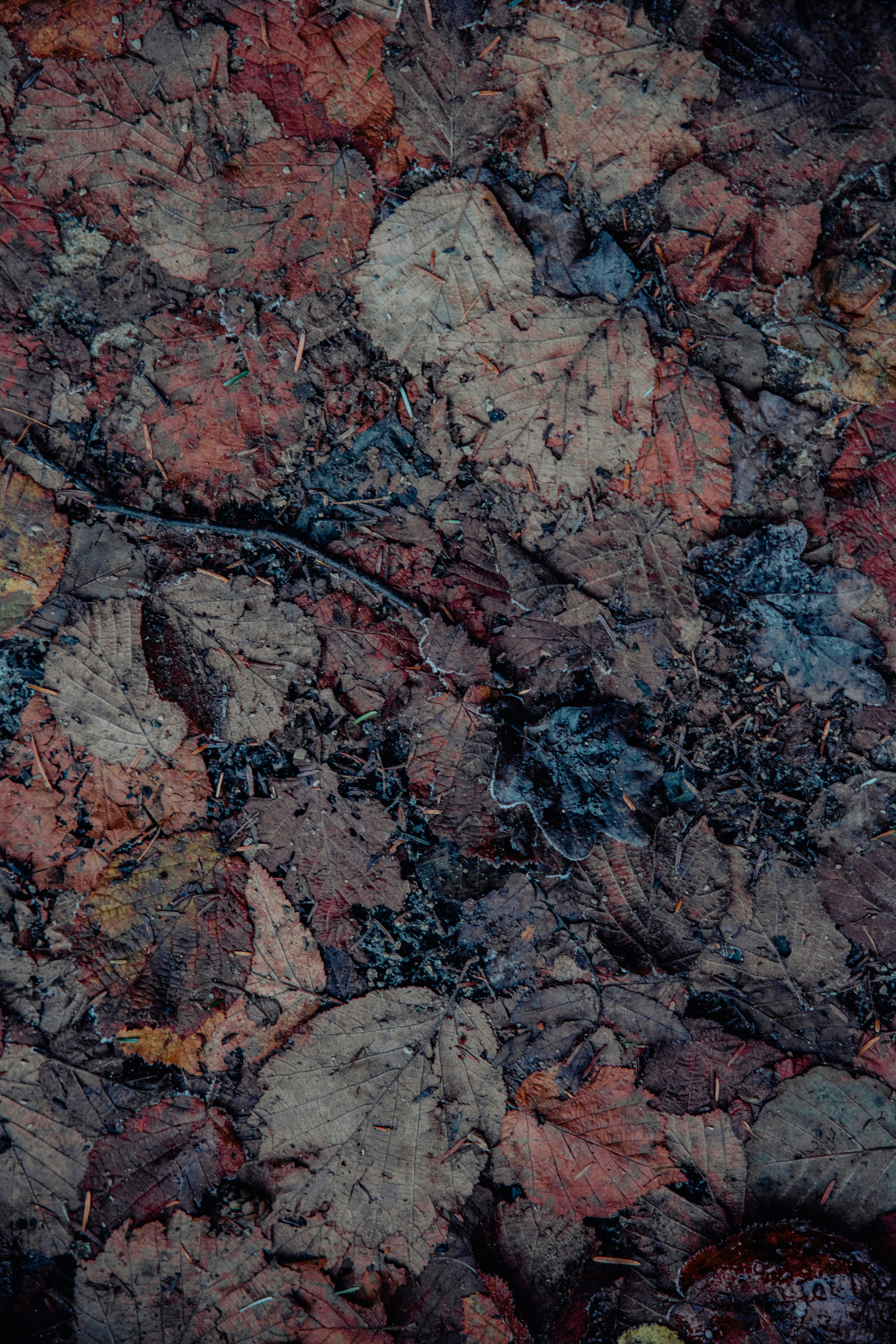 Photo by lukethorntonofficial