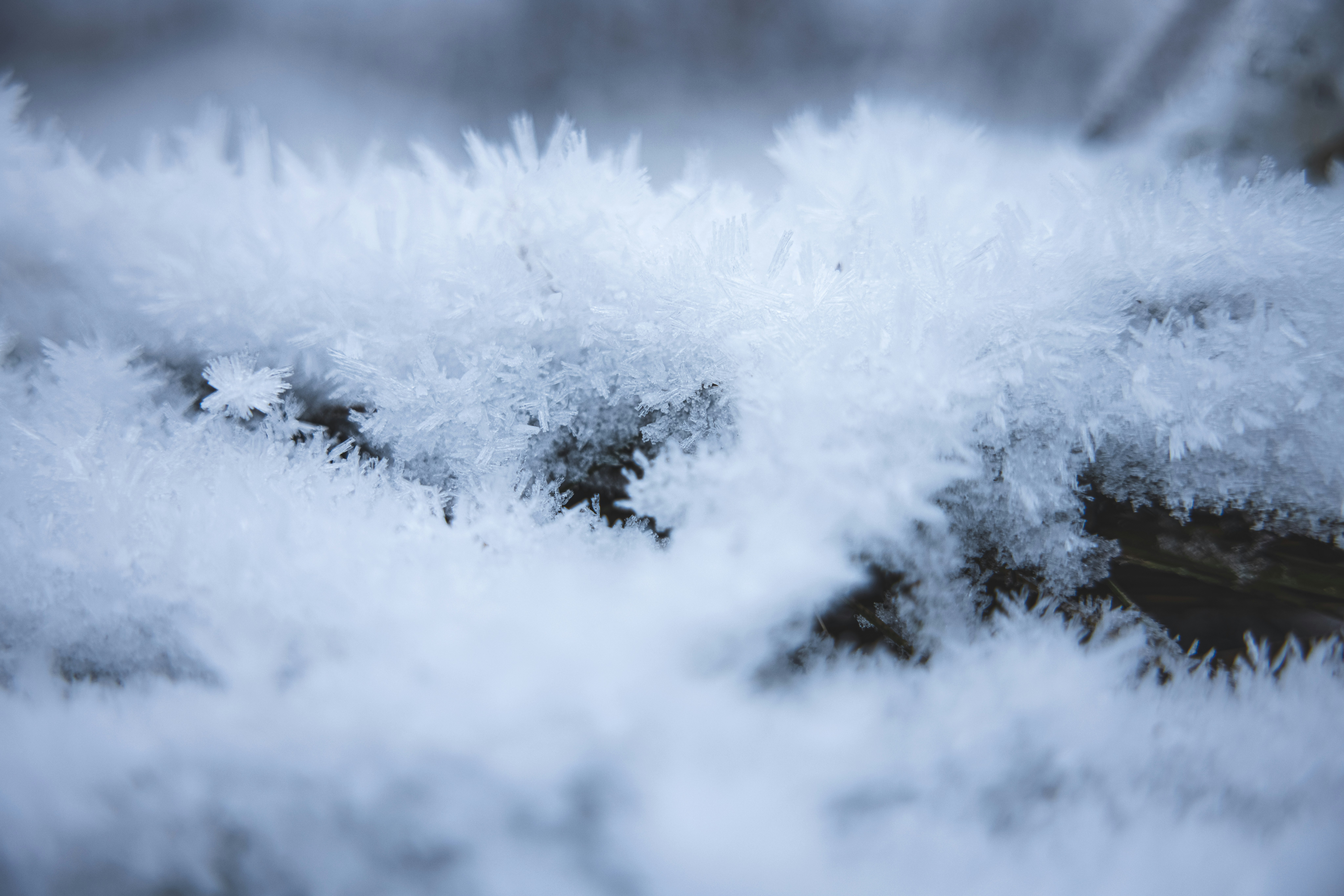 Photo by lukethorntonofficial