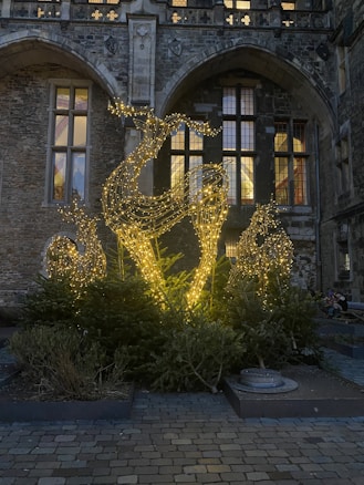 A decorative installation featuring illuminated wireframe reindeer sculptures surrounded by evergreen trees, set against an ornate, historical building facade with arched windows and stone walls. The reindeers are adorned with warm, glowing lights, creating a festive atmosphere.