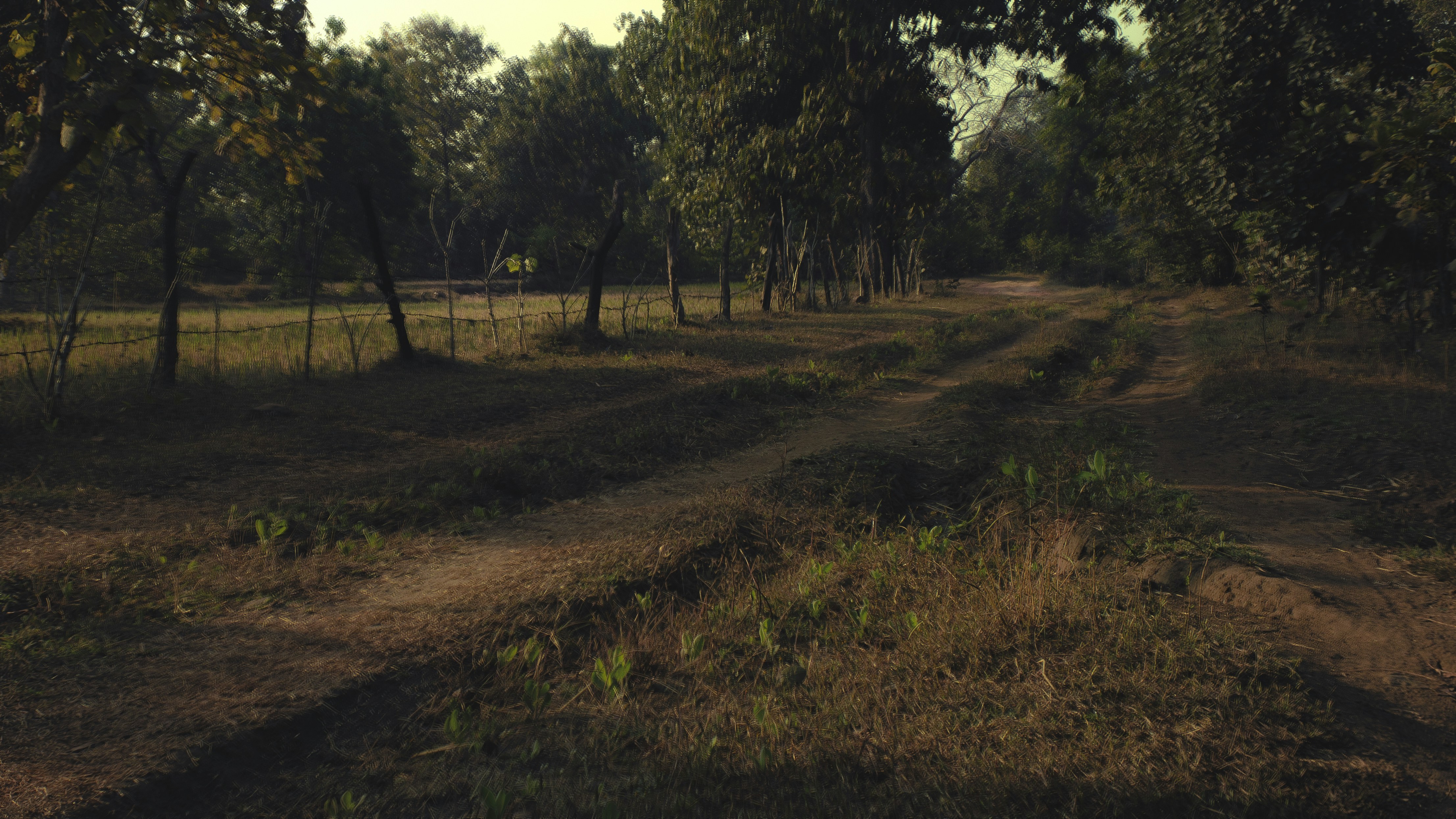 Photo by tarun_dhanraj_