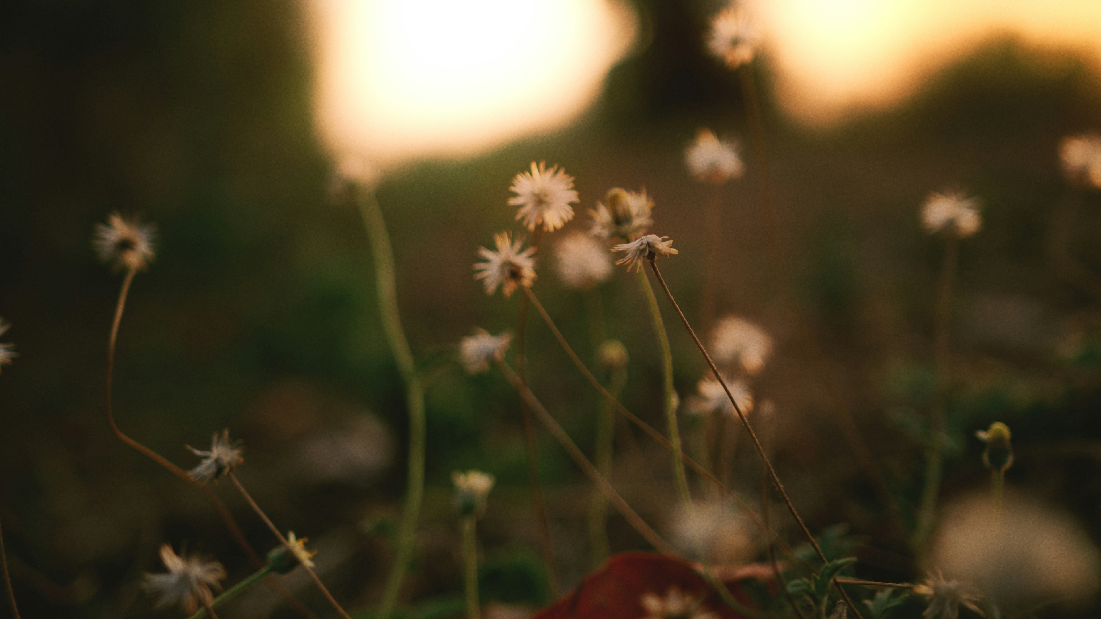 Photo by tarun_dhanraj_