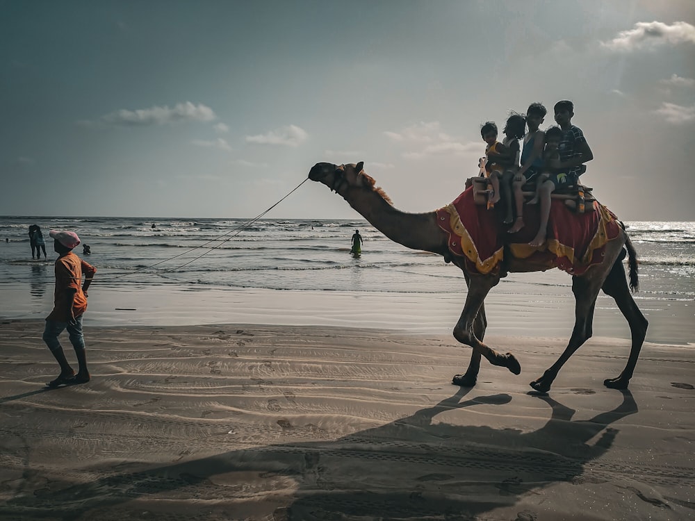 a group of people riding on the back of a camel