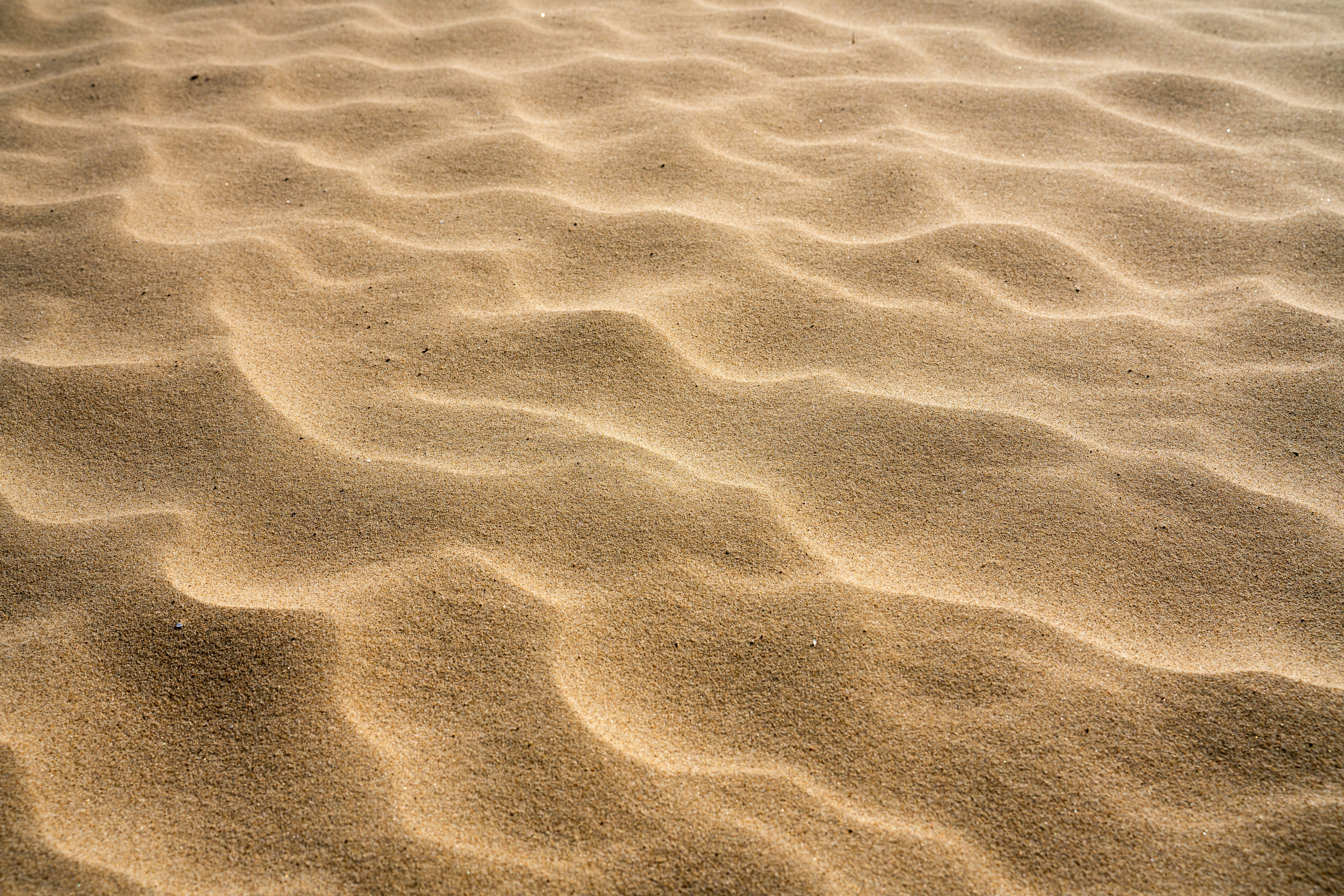 a close up of a sandy beach with a sky background