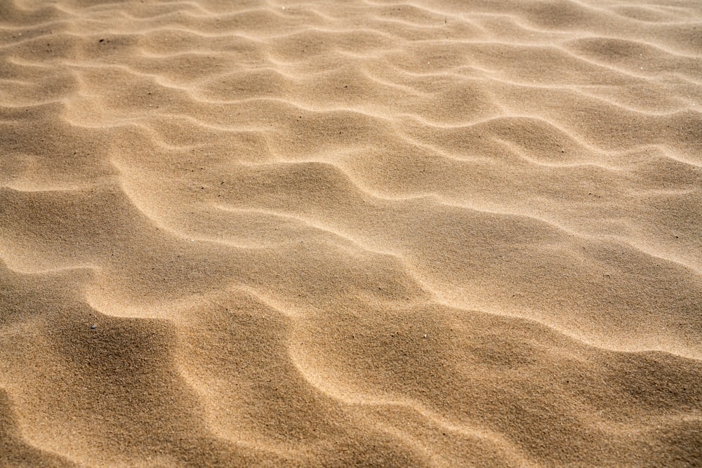 Gros plan d’une plage de sable avec un fond de ciel