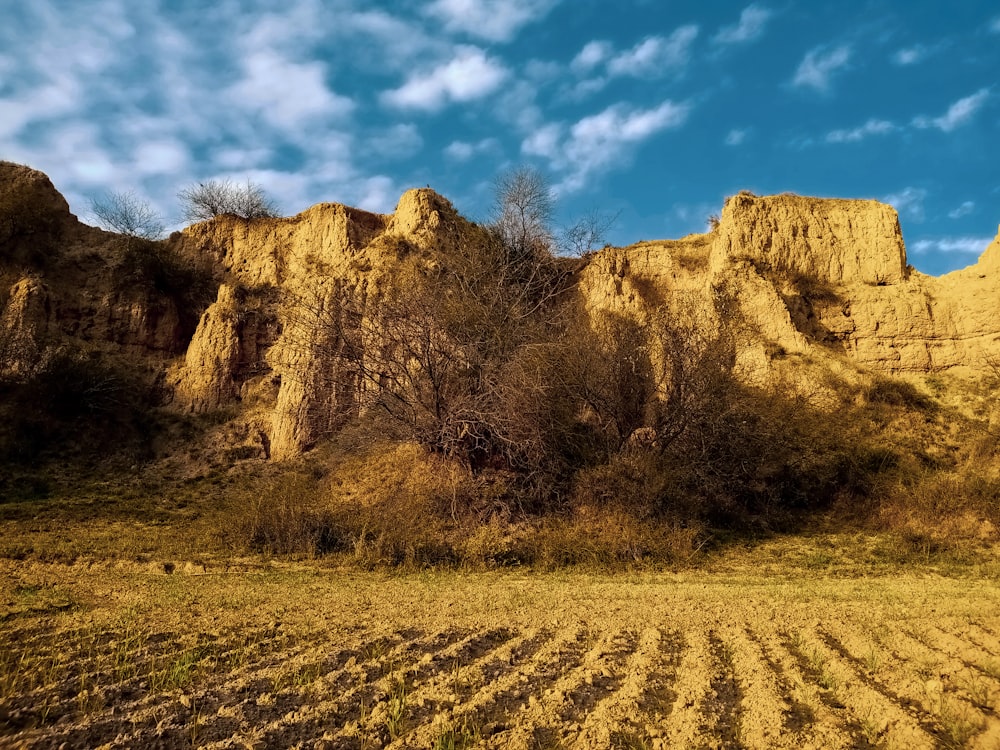 a dirt field with a mountain in the background