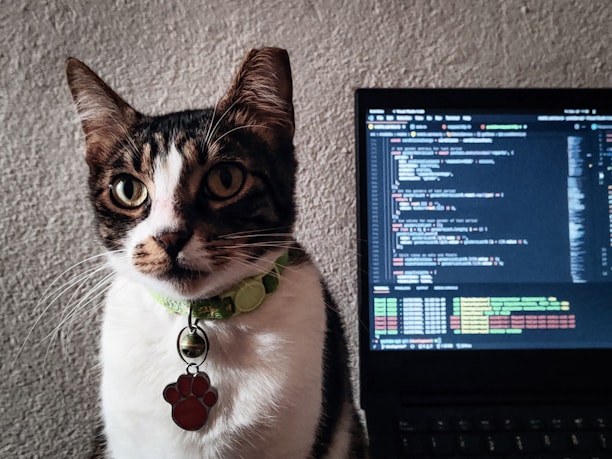 A cat with a white and brown coat is sitting beside a laptop displaying code on its screen. The cat is wearing a green collar with a red paw-shaped tag. The background consists of a textured gray wall.