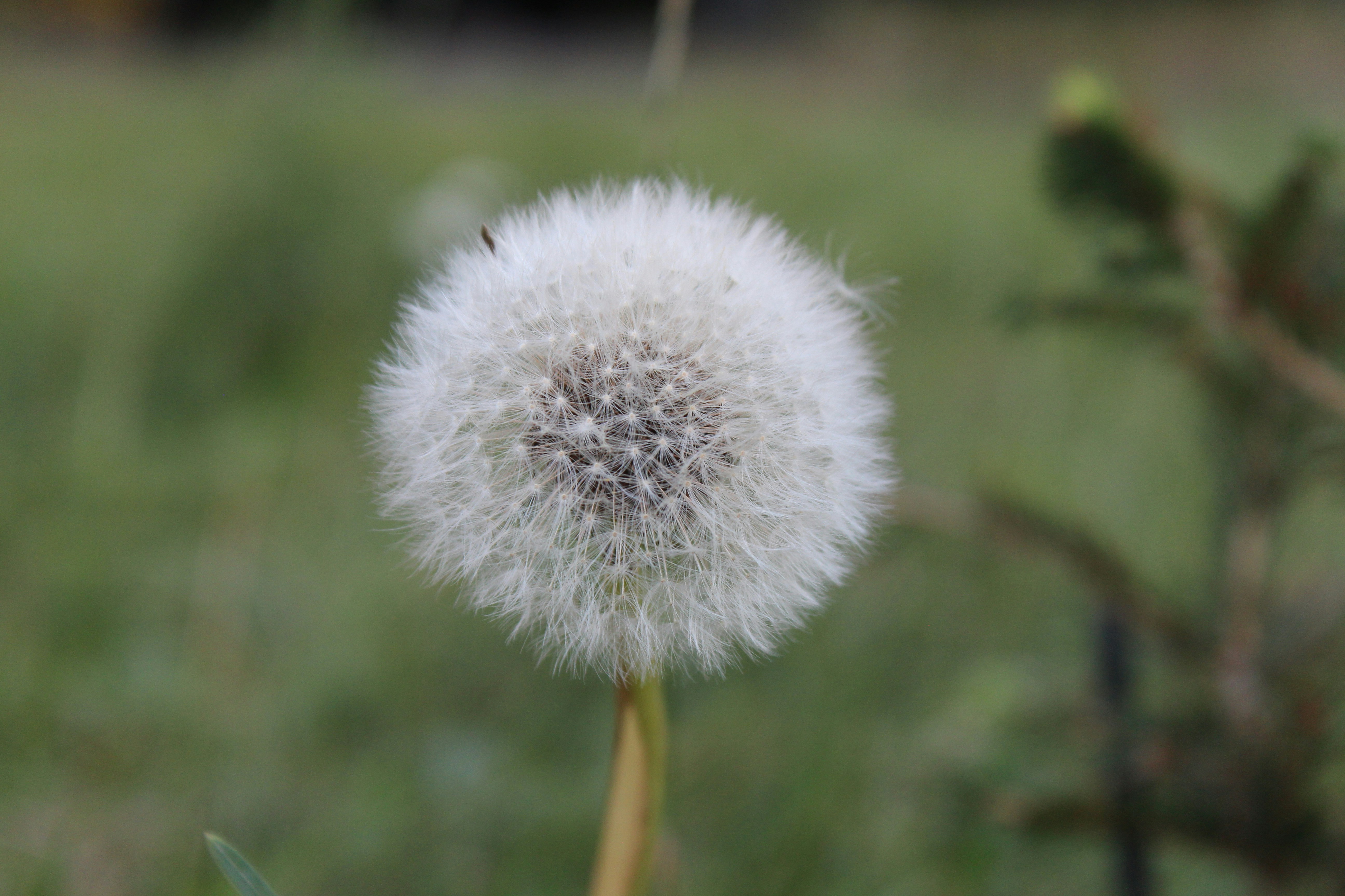 Photo by vova_pustinsky