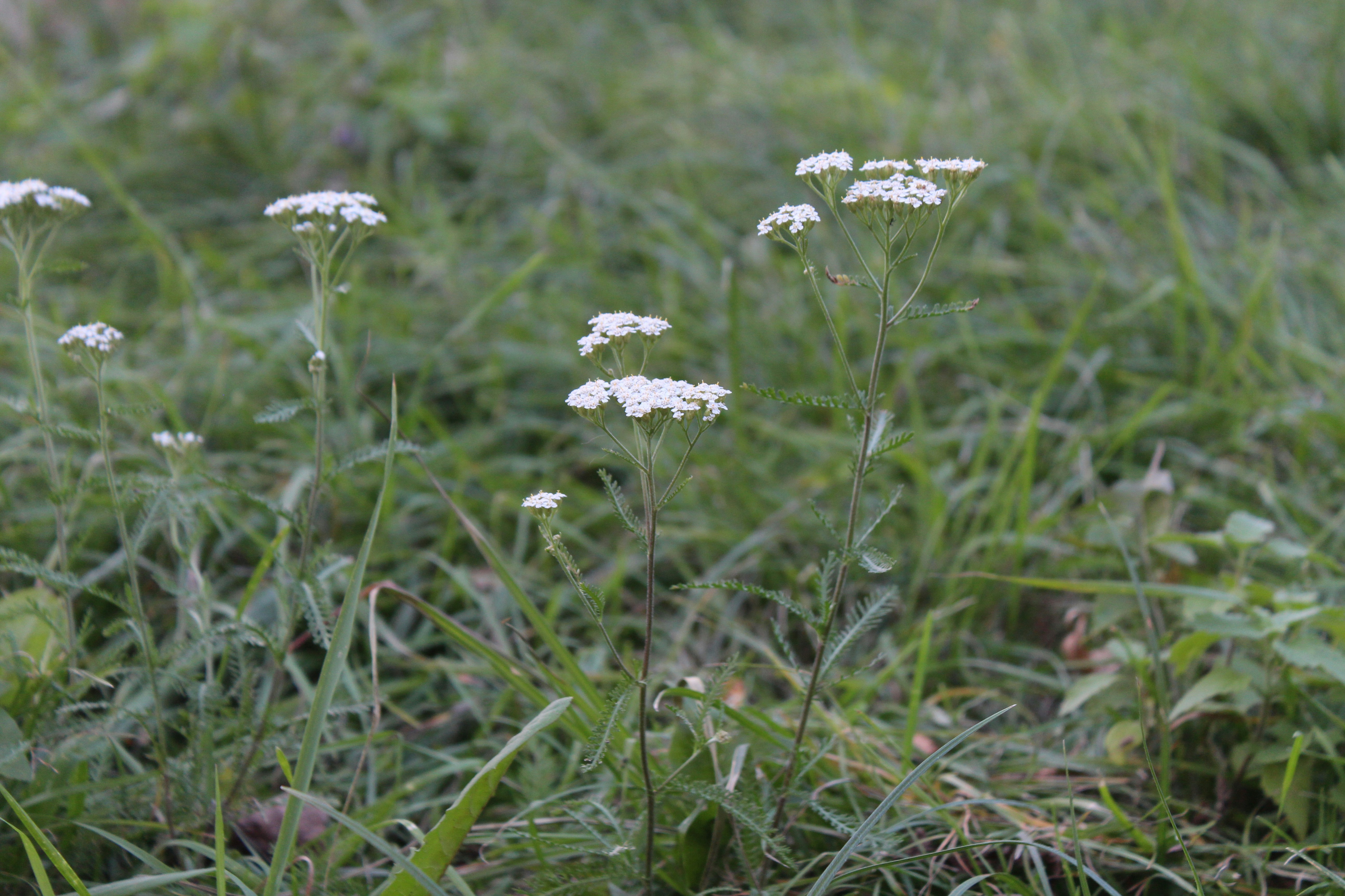 Photo by vova_pustinsky