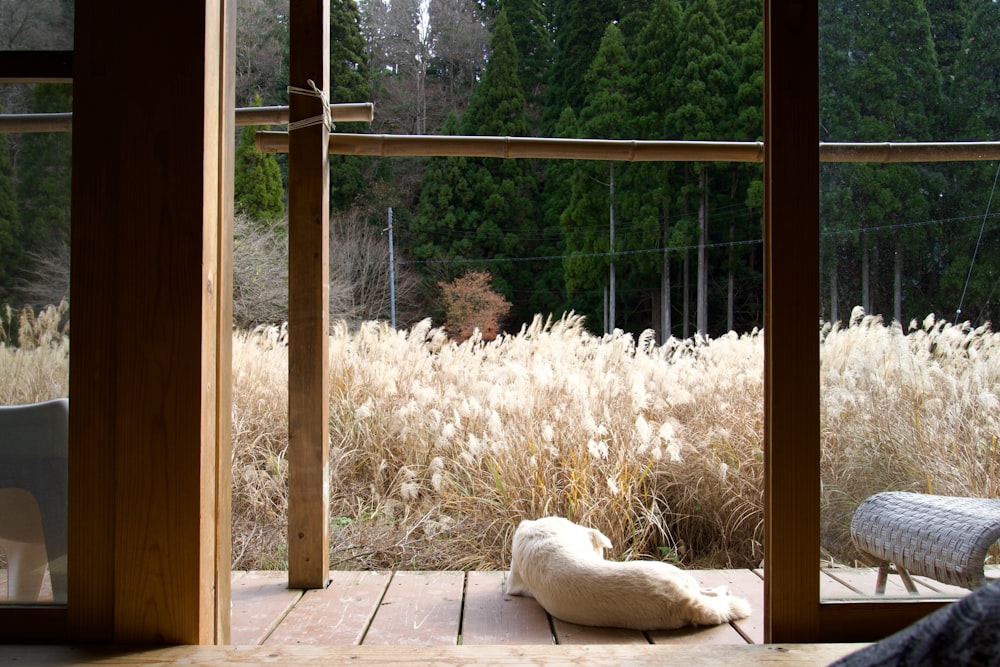 a stuffed animal sitting on top of a wooden floor