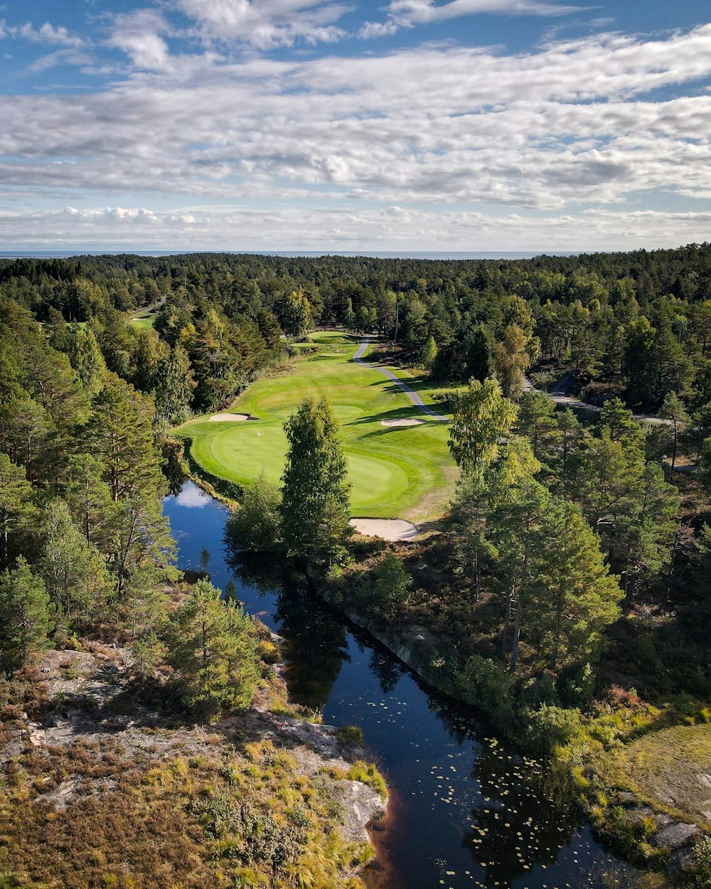 an aerial view of a golf course surrounded by trees