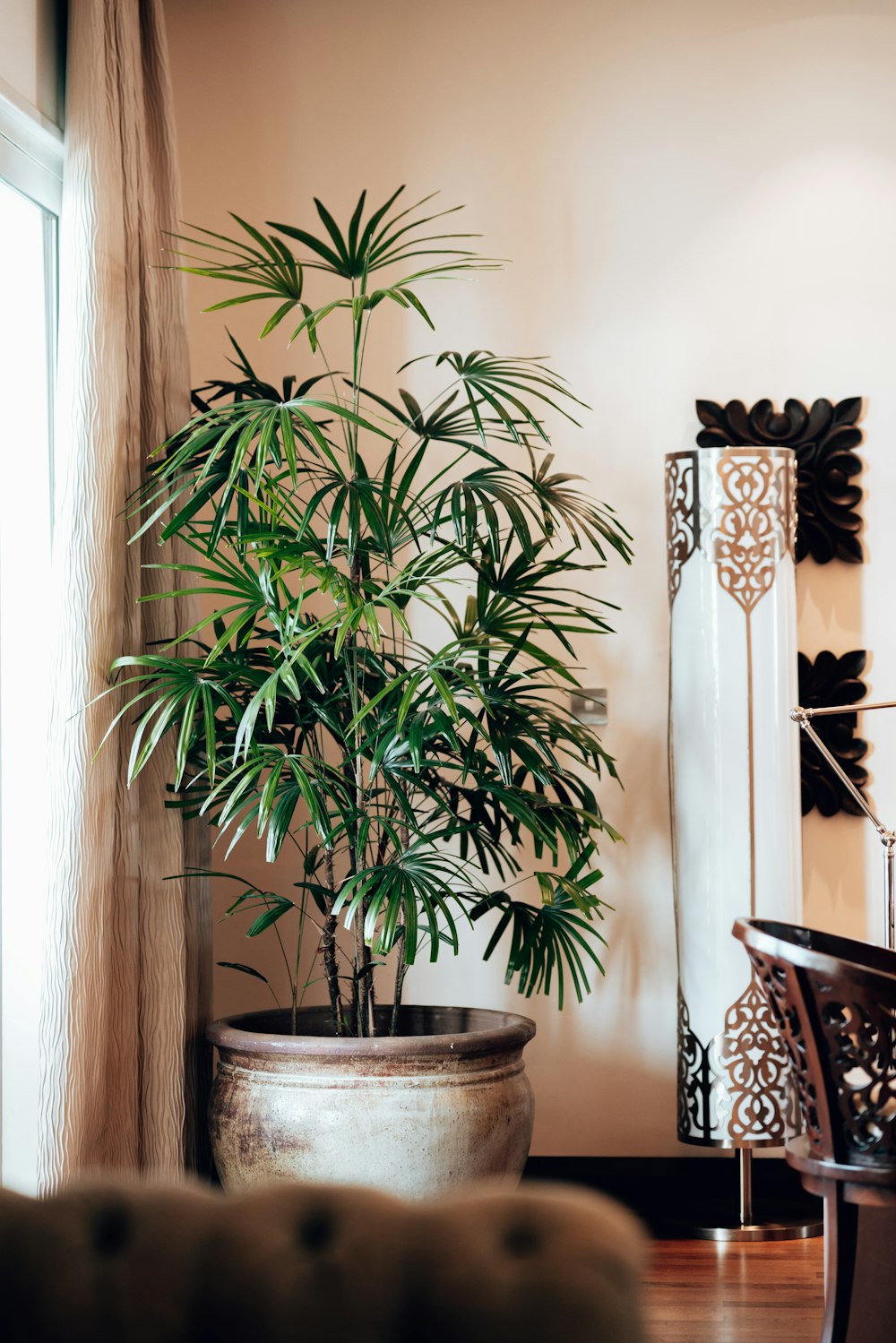 a potted plant sitting on top of a wooden table