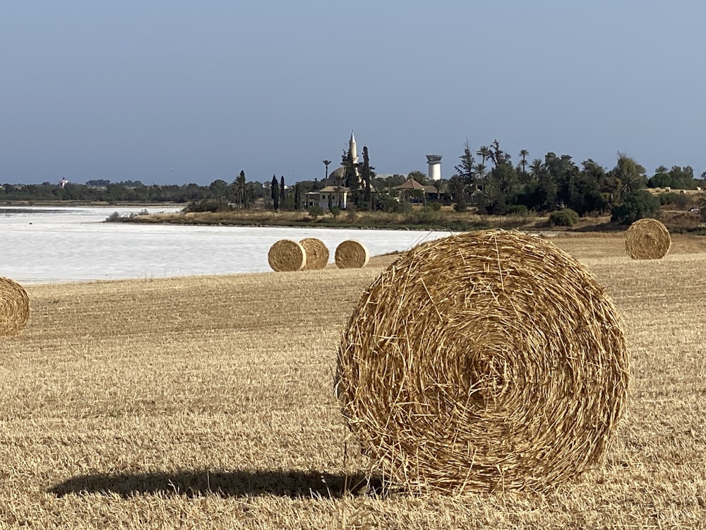 hay bales in a field near a body of water