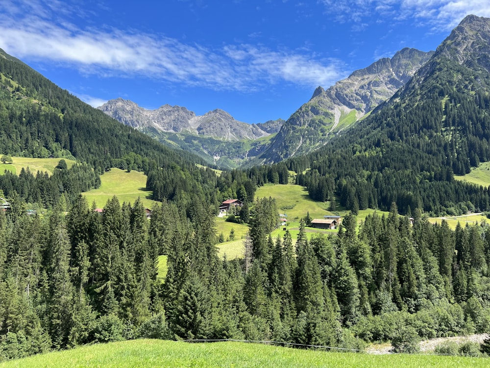Ein malerischer Blick auf ein grünes Tal mit Bergen im Hintergrund