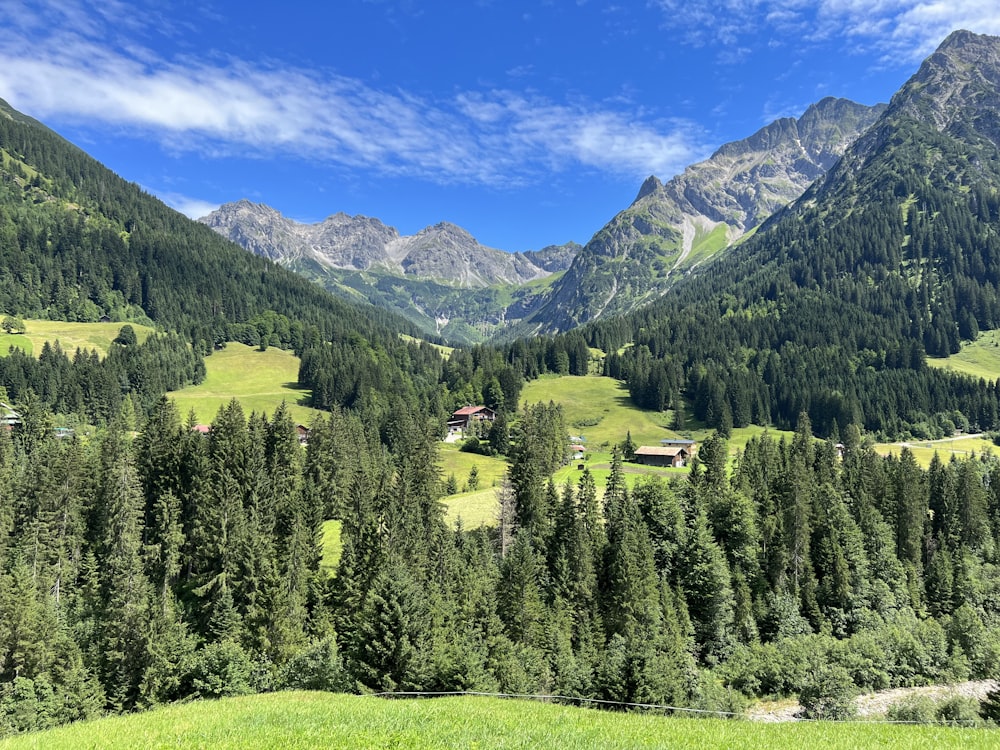 a scenic view of a green valley with mountains in the background