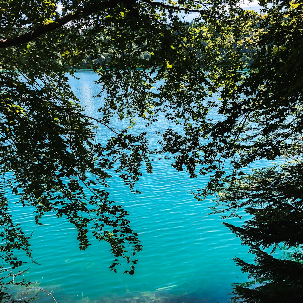 a boat floating on top of a lake surrounded by trees